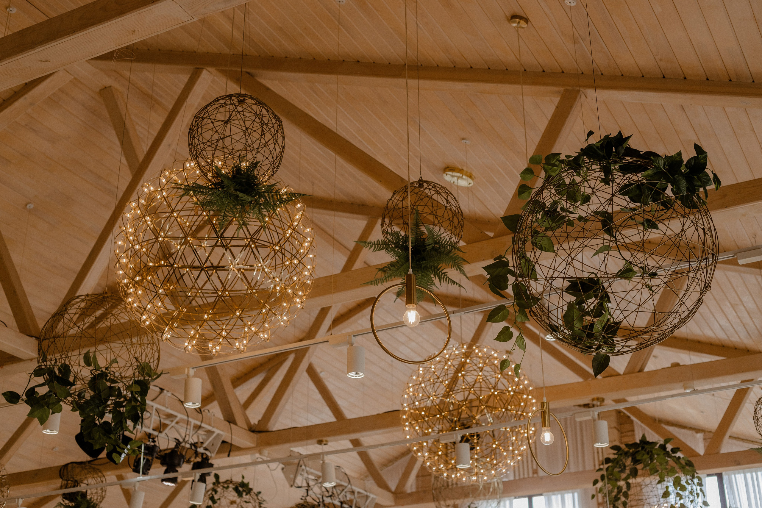 Я вижу цель, я за лимоном лечу…. Свадебный фотограф видеограф Новосибирск Кемерово Калининград