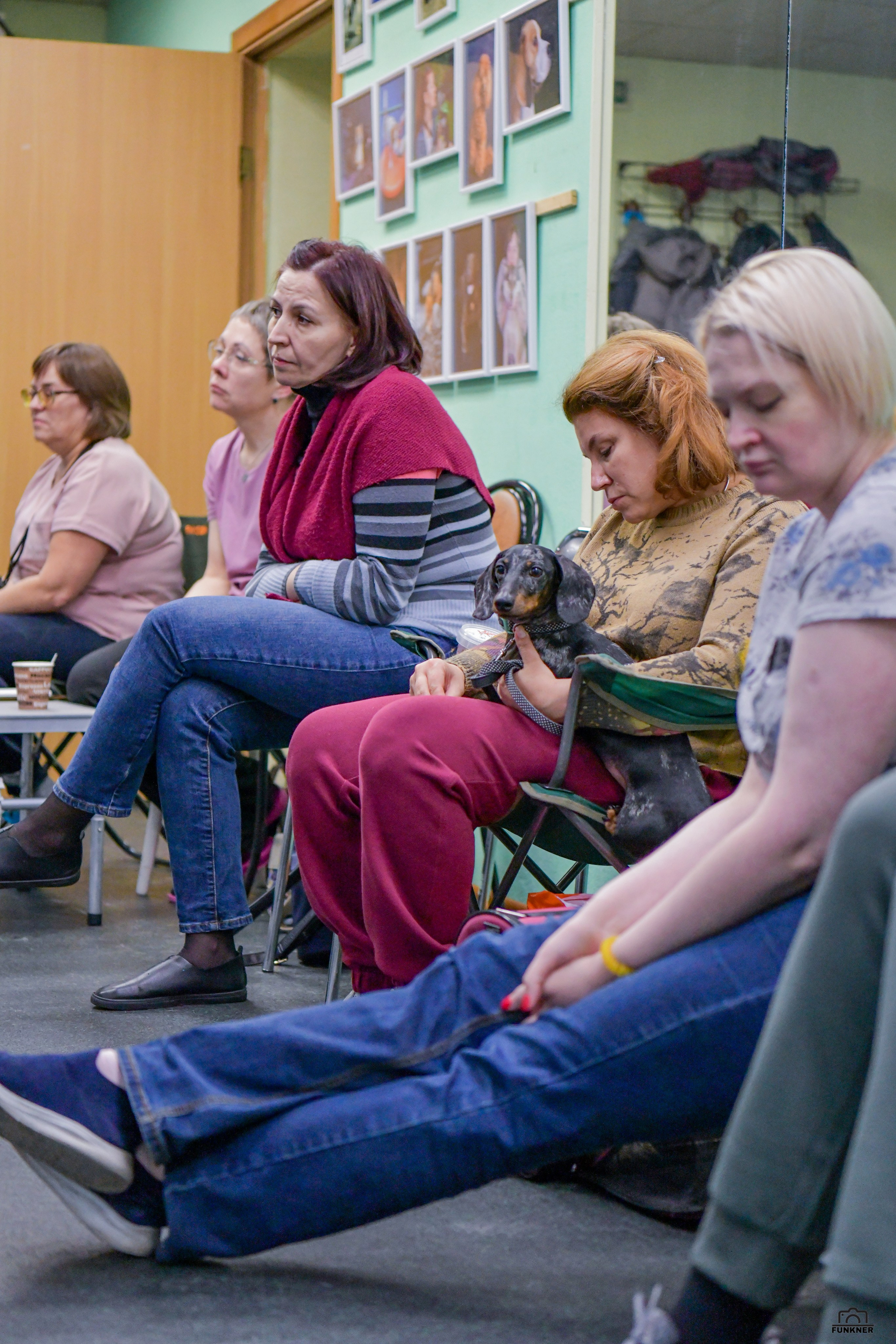 Кинологический клуб «Бодрый хвост». Свой взгляд через объектив