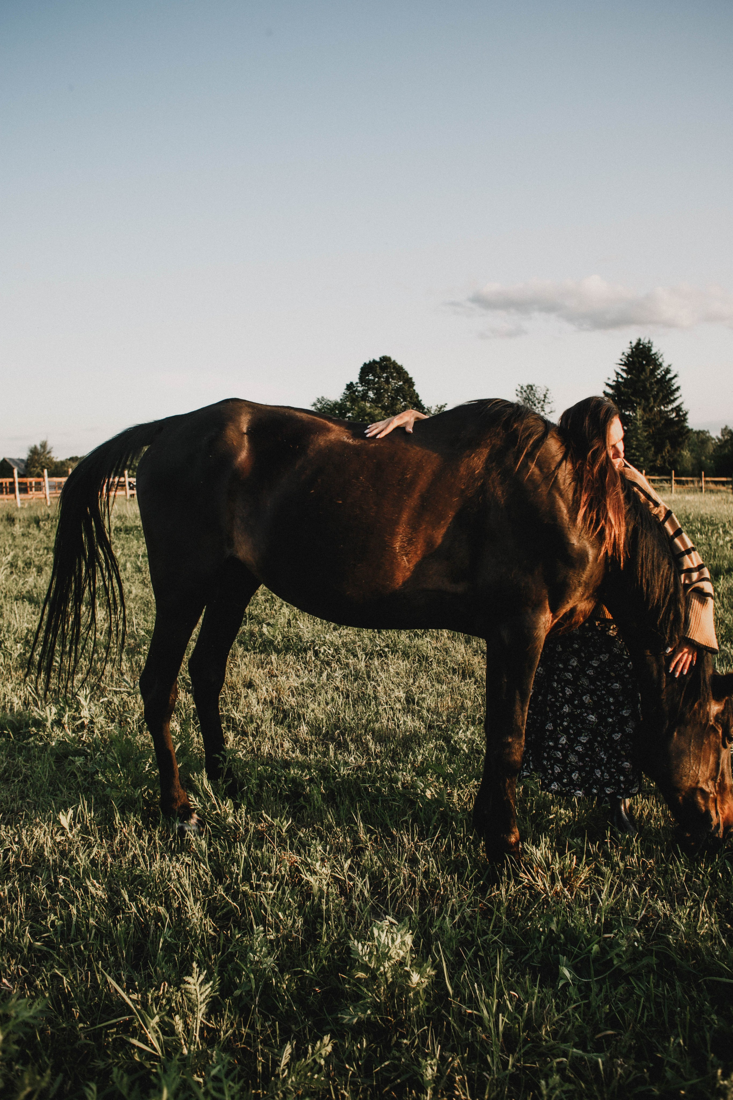 Варвара. Лошади. Закат. Фотограф в Нижнем Новгороде