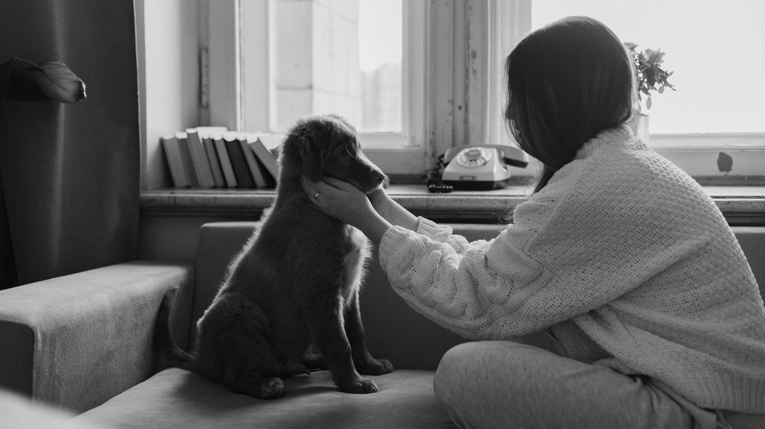 Маша, Одди и Нэвил. Фотограф-анималист Богданова Полина