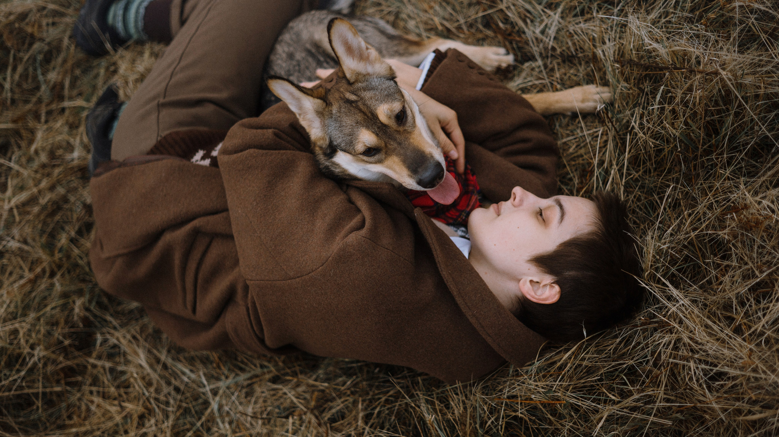 Маша, Катя, Астрид и Мася. Фотограф-анималист Богданова Полина