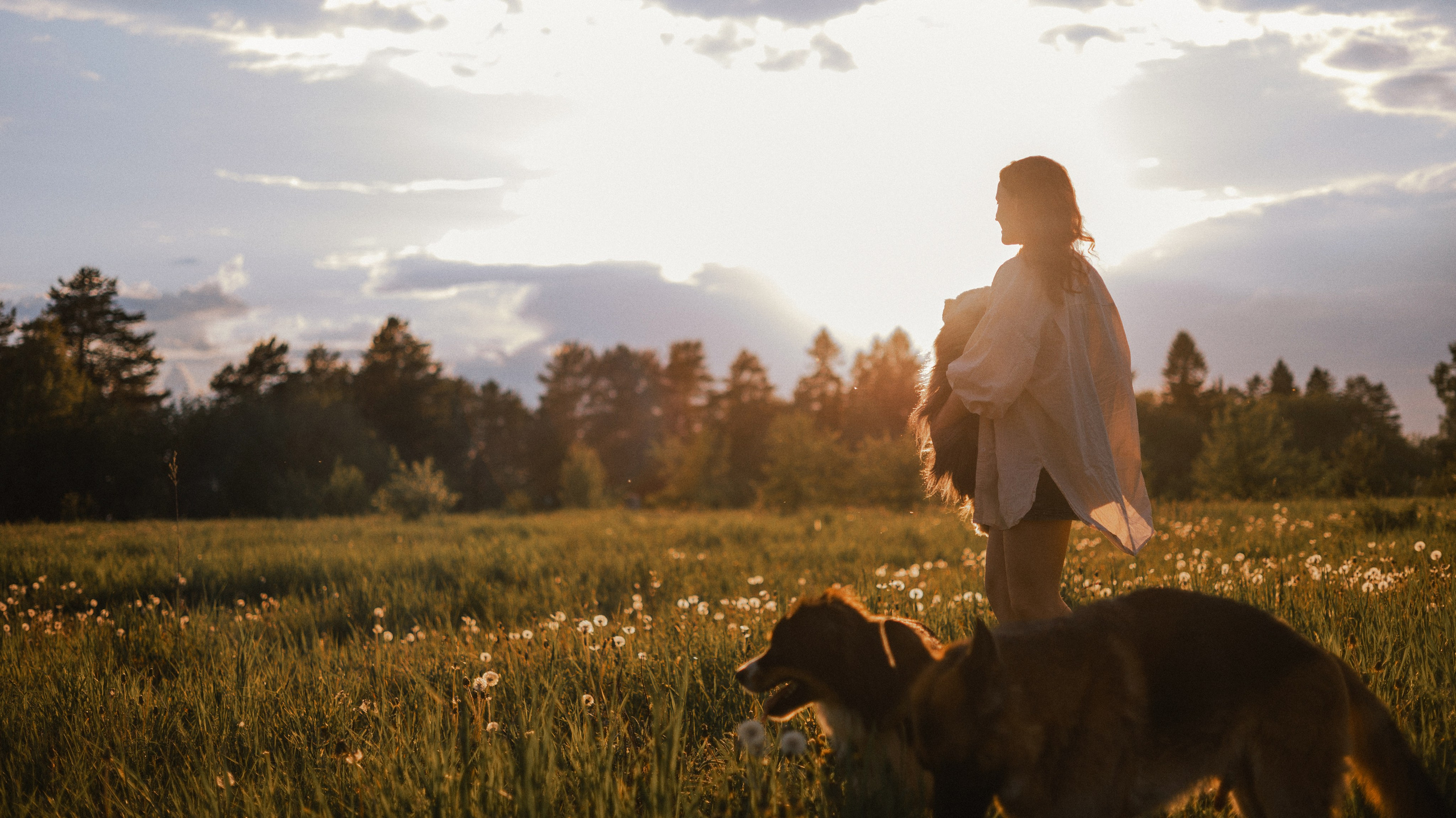 Настя, Шуня, Милка и Тигуан. Фотограф-анималист Богданова Полина
