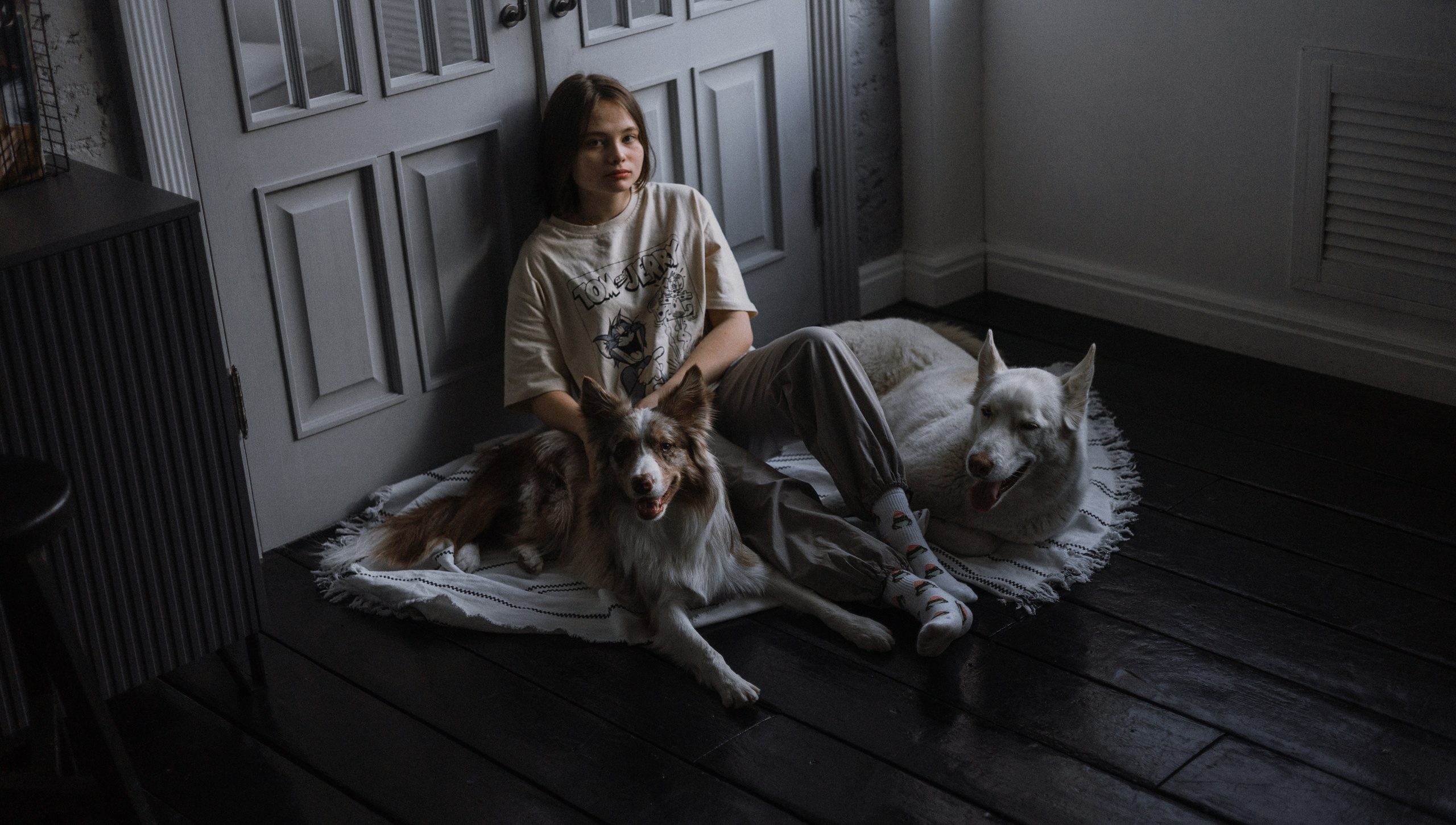 Аня, Дэймон и Грэй. Фотограф-анималист Богданова Полина