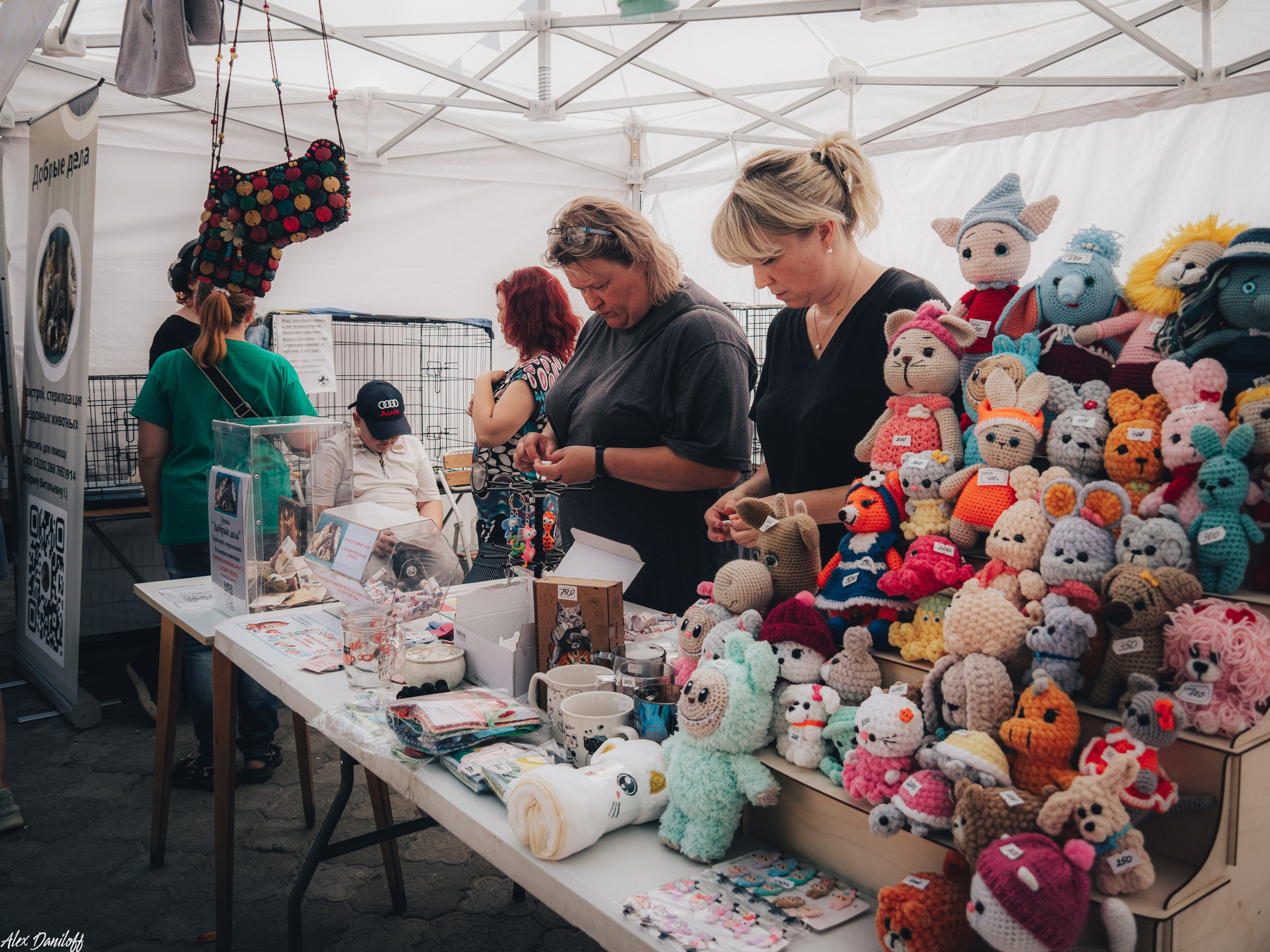 Мурфест 2025. Муром-Инфо. Новости культуры, образования, спорта в городе Муром