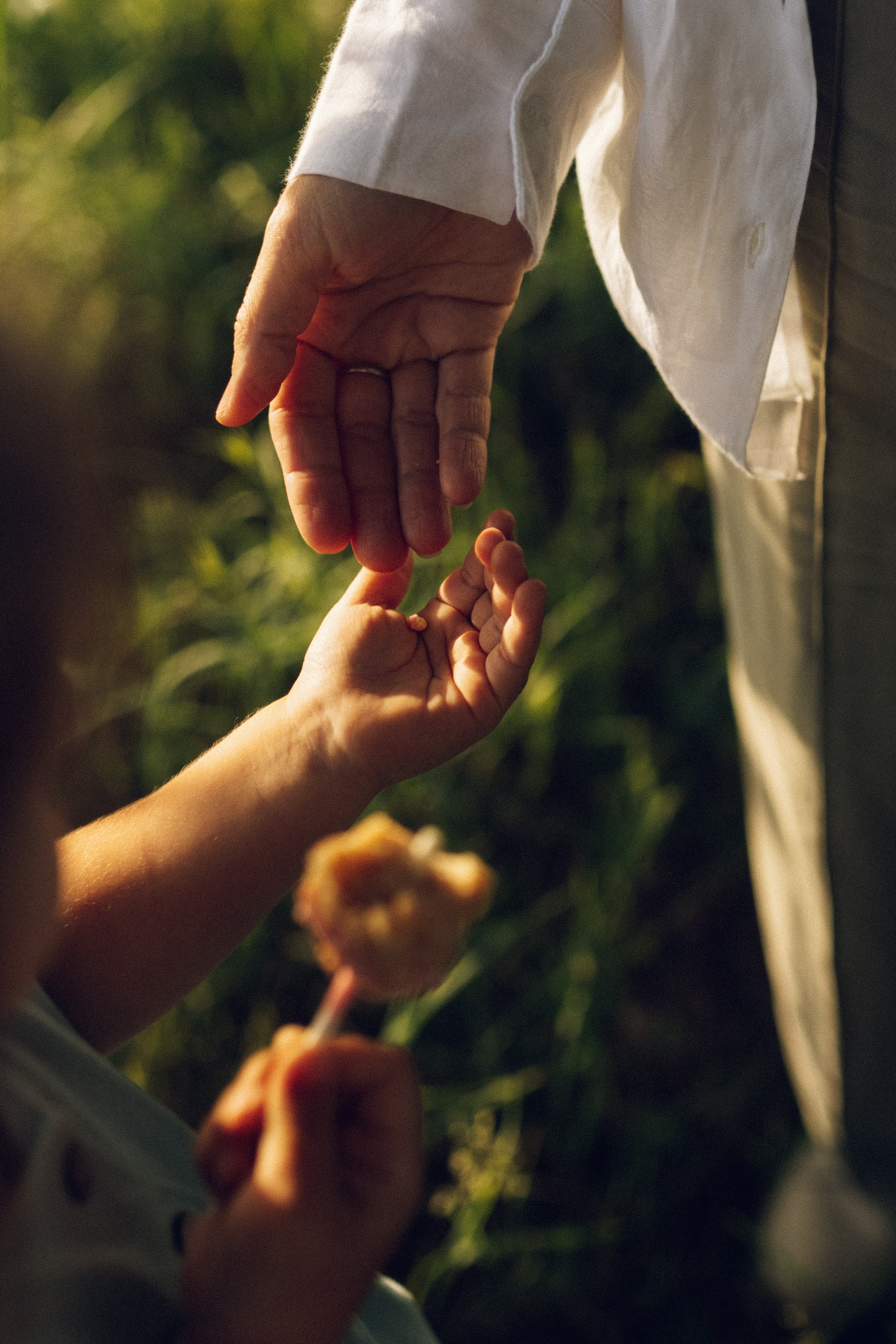 Вверх тормашками. Фотограф из Петербурга