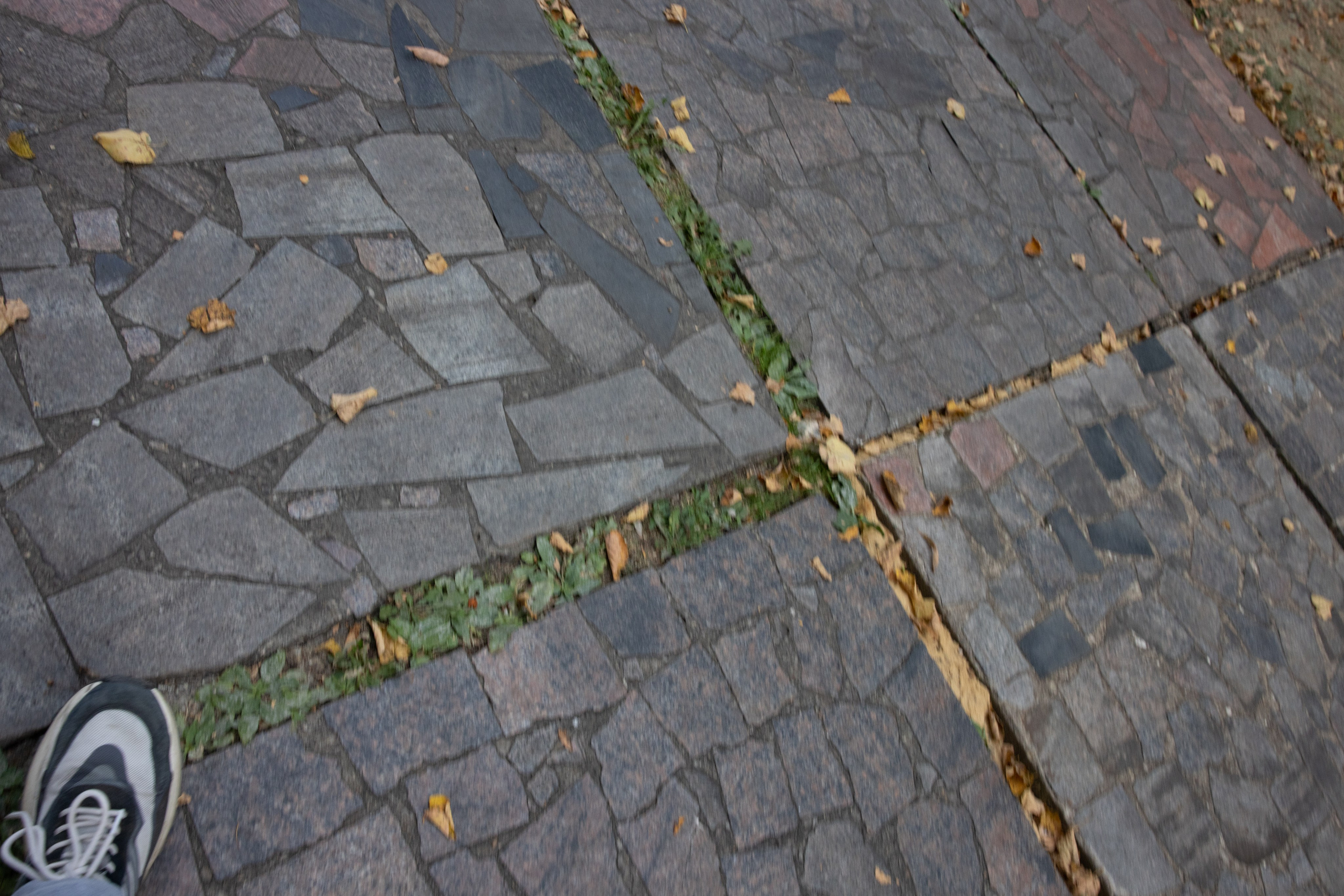 Поездка на поле Кулеково. Фотограф в Туле Крупский АнДРей. Фотостудия «КАДР71» в Туле