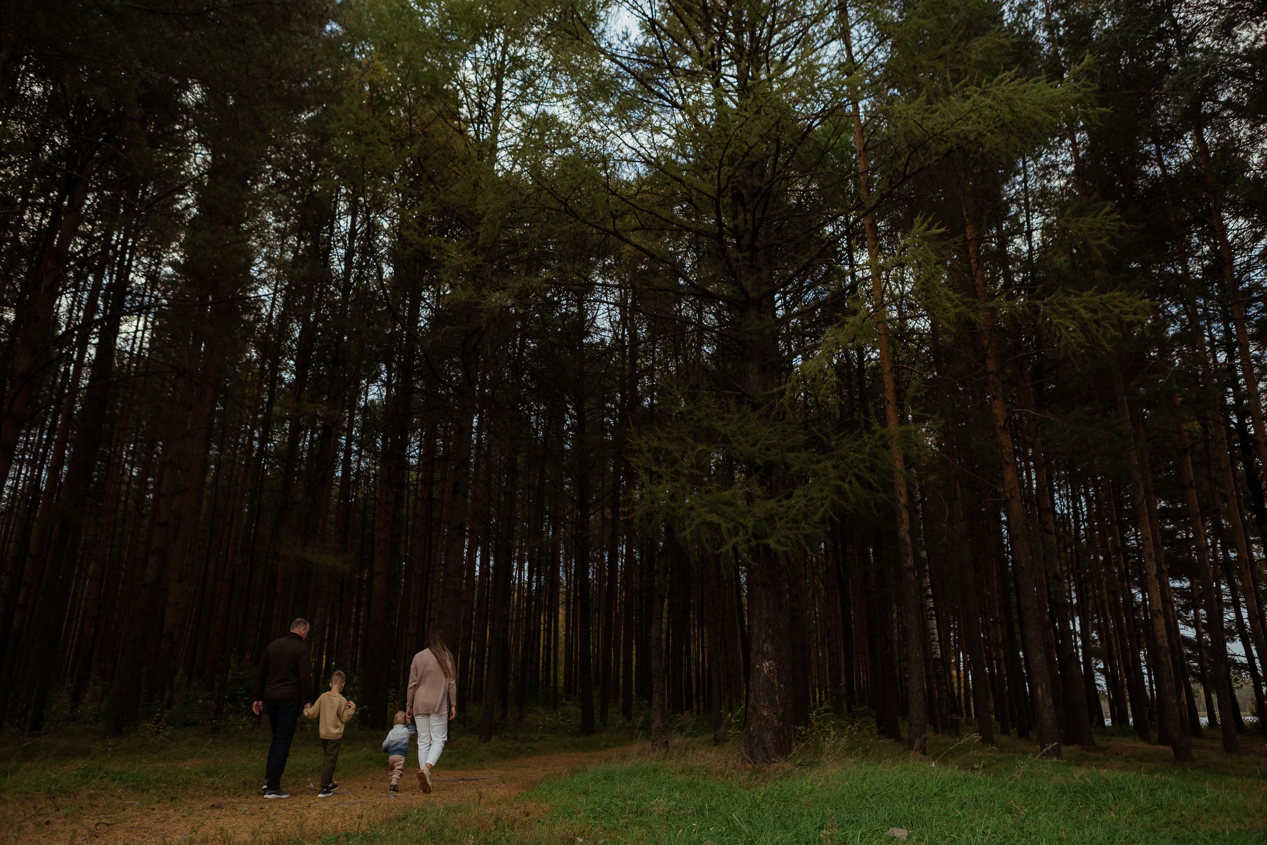 Прогулка 24.09. ФОТОГРАФ Маргарита Сивакова | Ярославль Кострома Москва