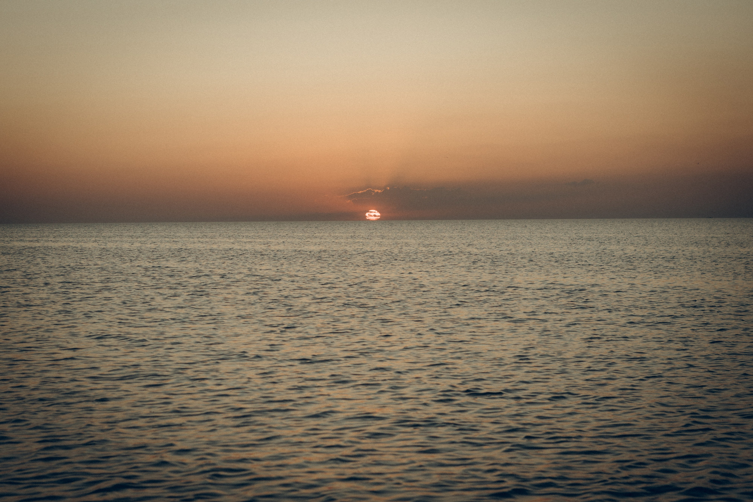 Денис & Юля. Семейный фотограф и фотограф на роды в Ростове-на-Дону Мухина Виктория