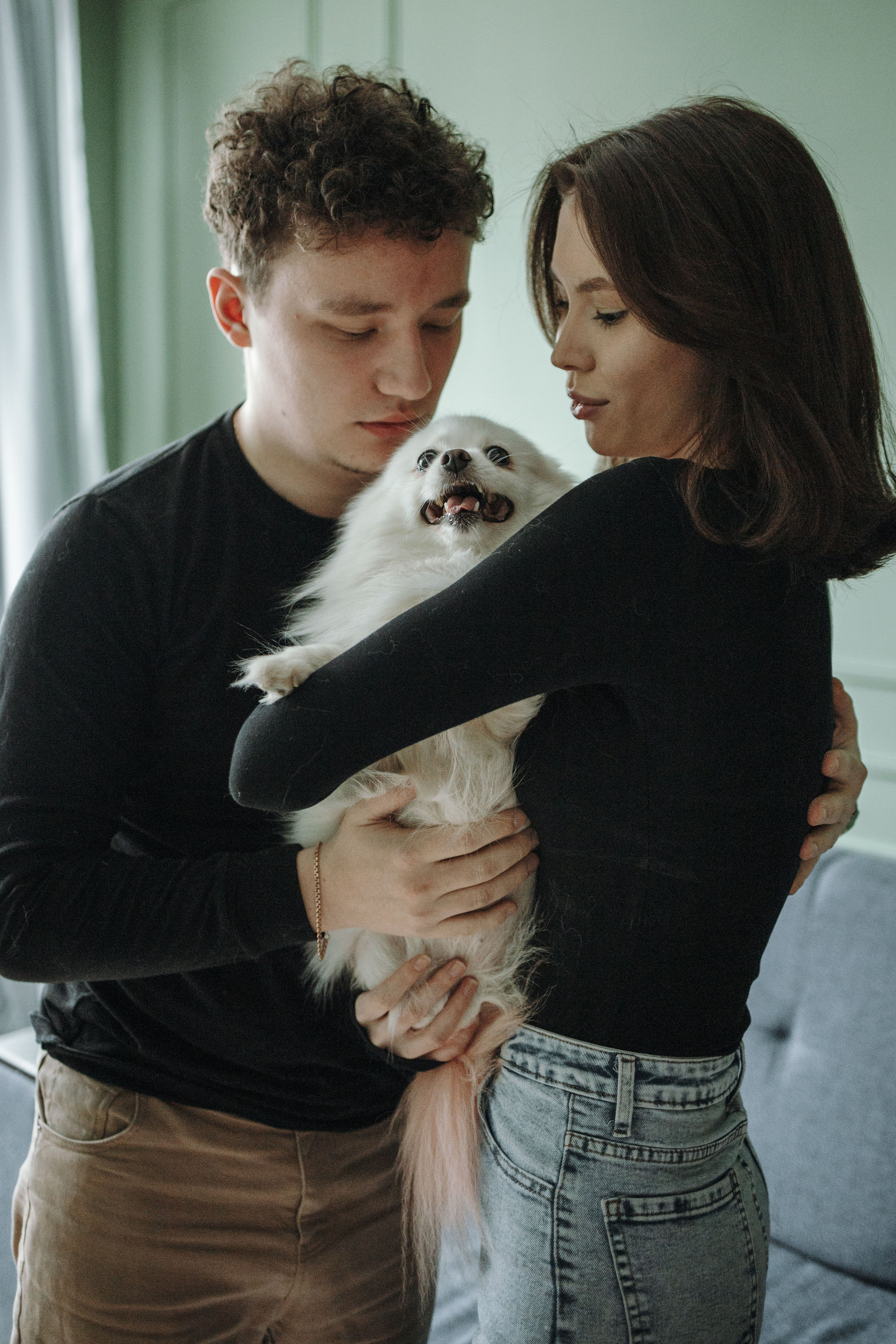 Шпиц Мася и ее семья