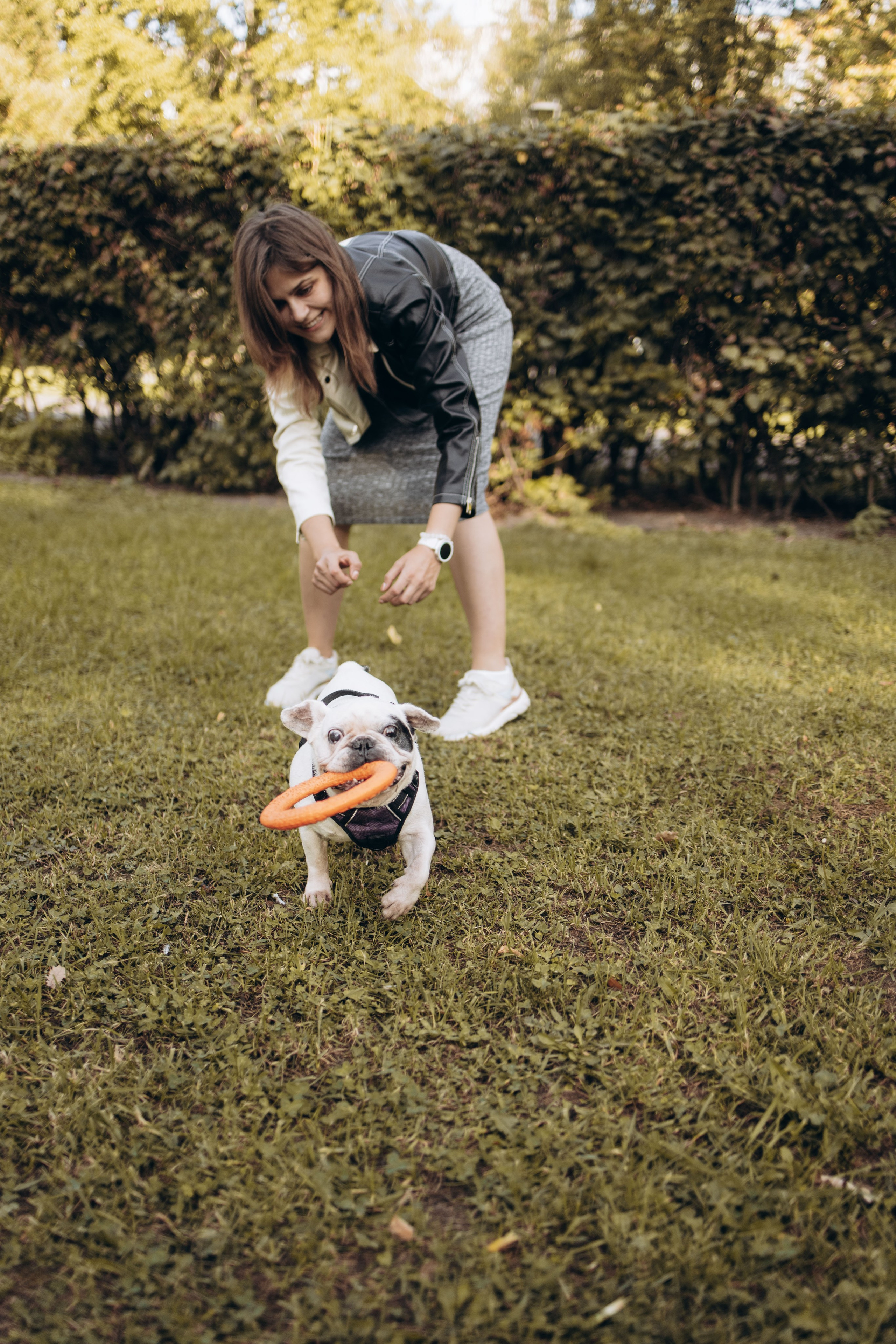 Оля и бульдоги