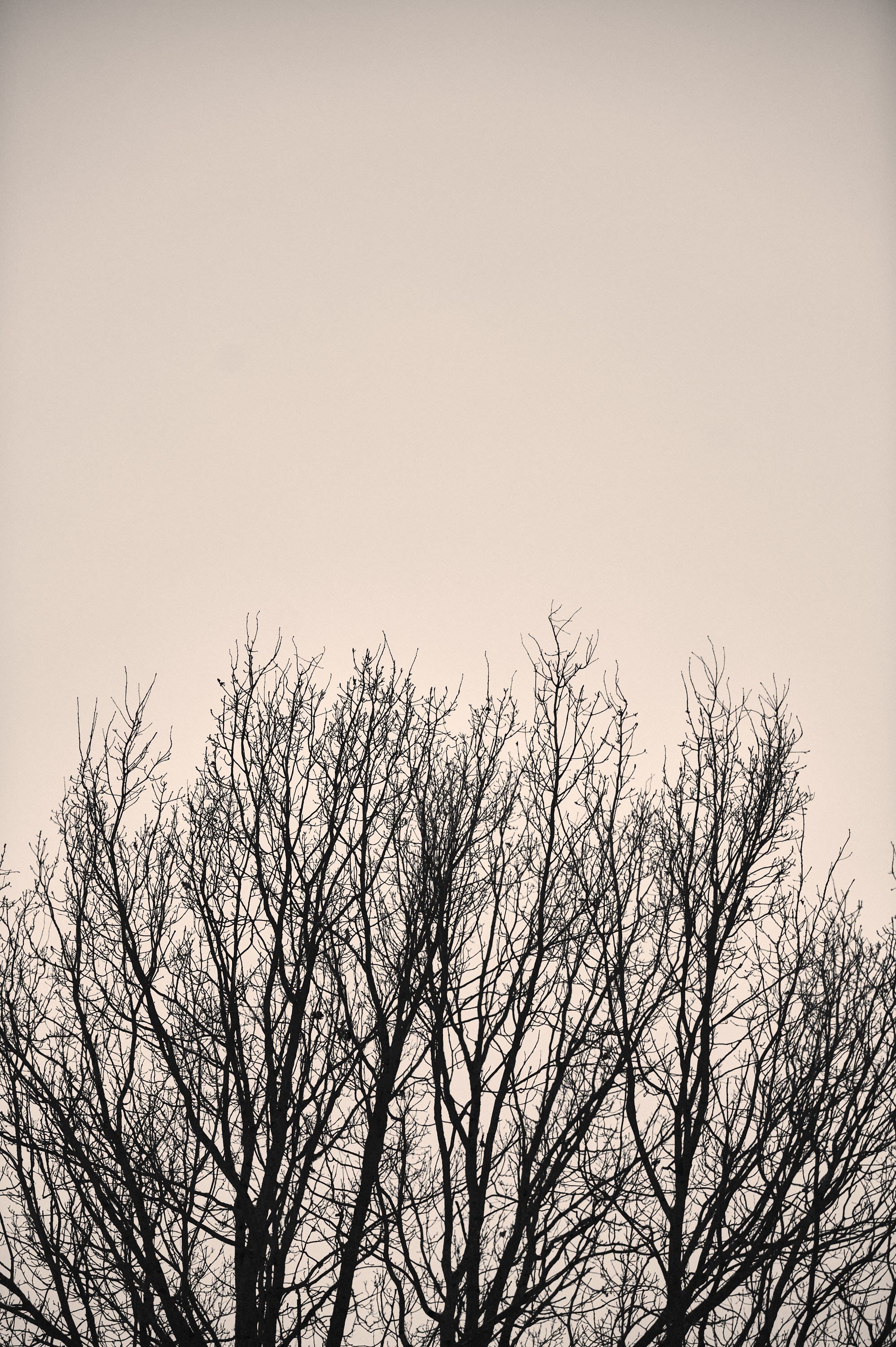 Фотопоказ «Каркас». Коммерческий фотограф в Казани Ксения Добролюбова