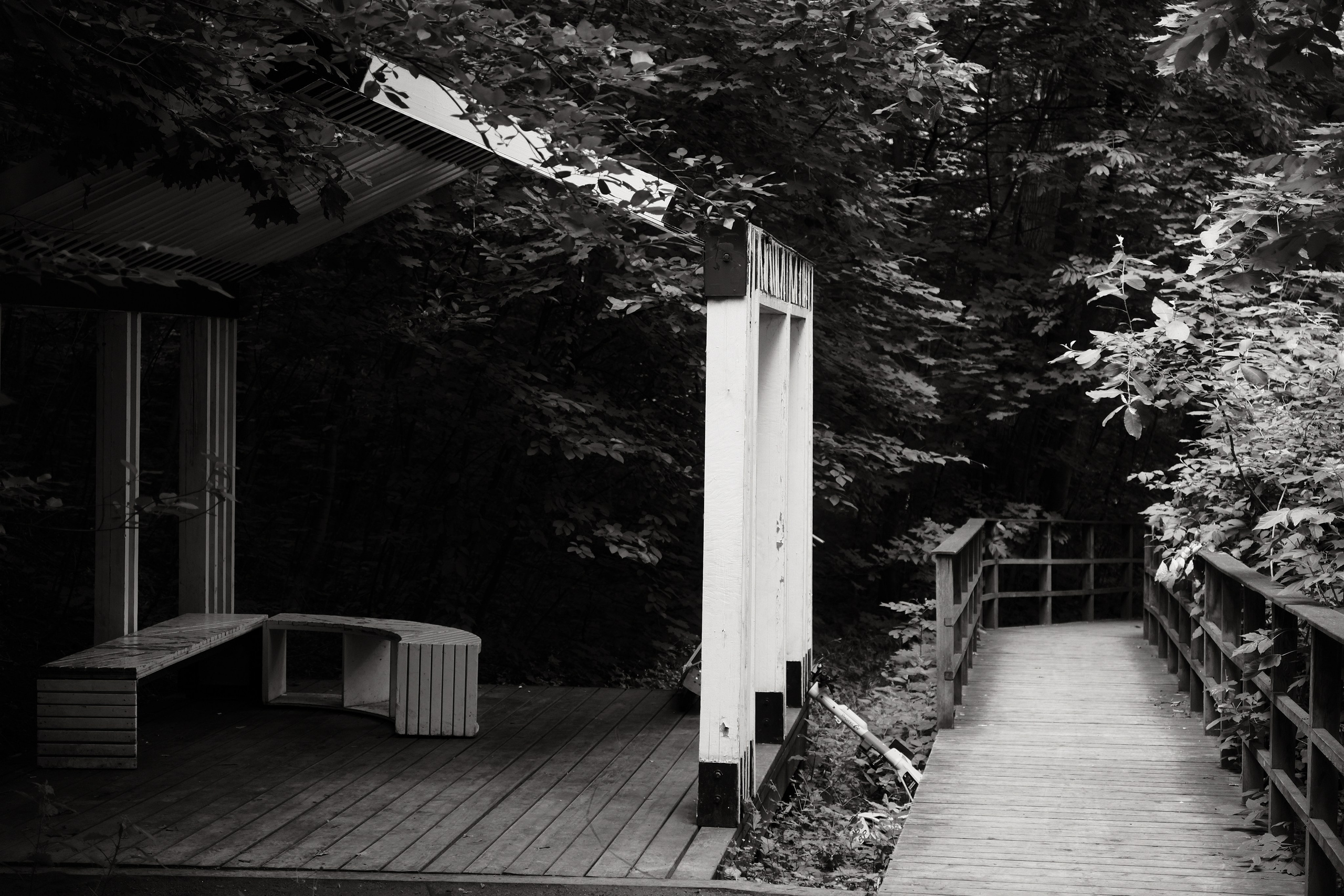 Прогулка по Воробьёвым горам. Фотограф Михаил Ерохин | Москва