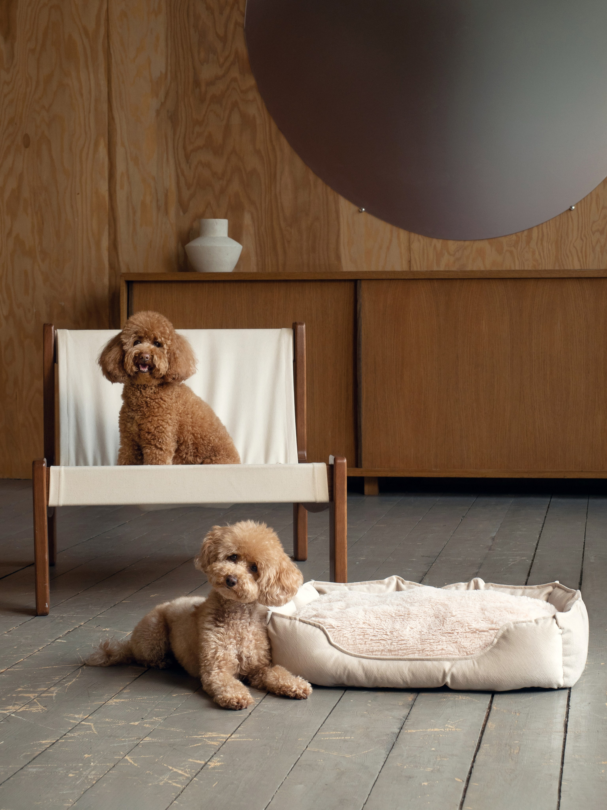 Рекламная съёмка. Фотограф животных и людей в Санкт-Петербурге Дарья Быстрицкая