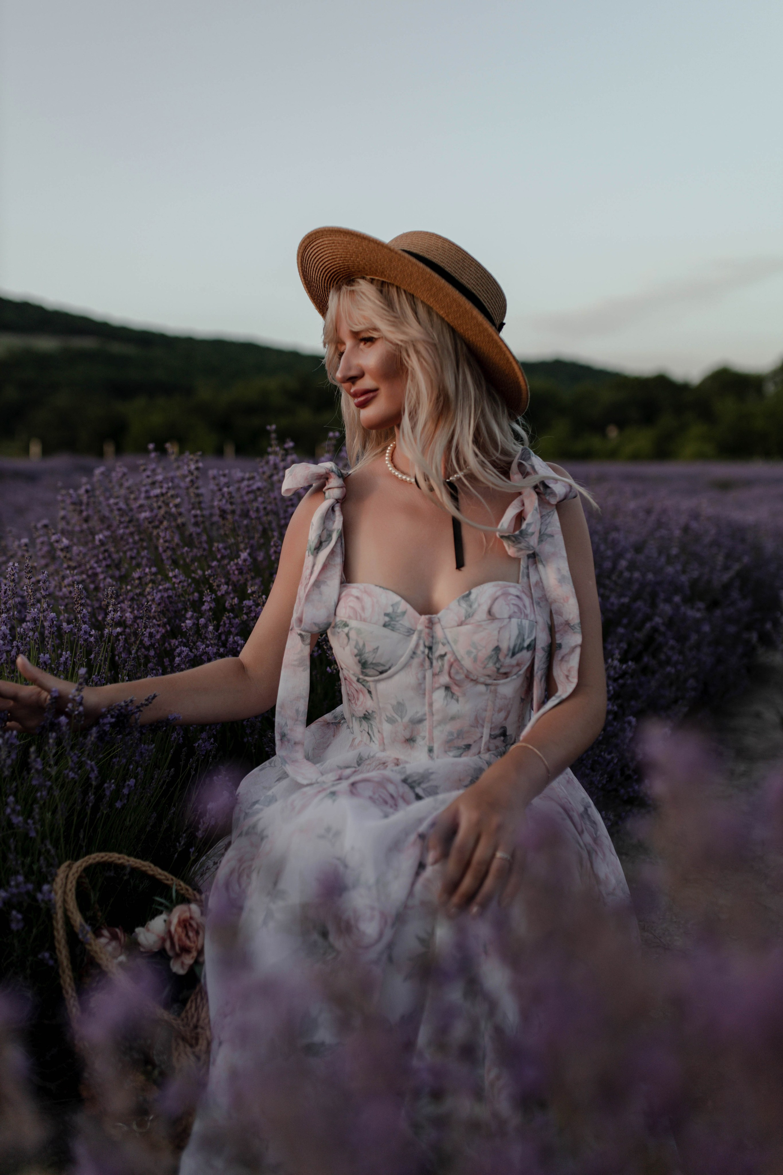 Лаванда. Фотограф Трифон Мира