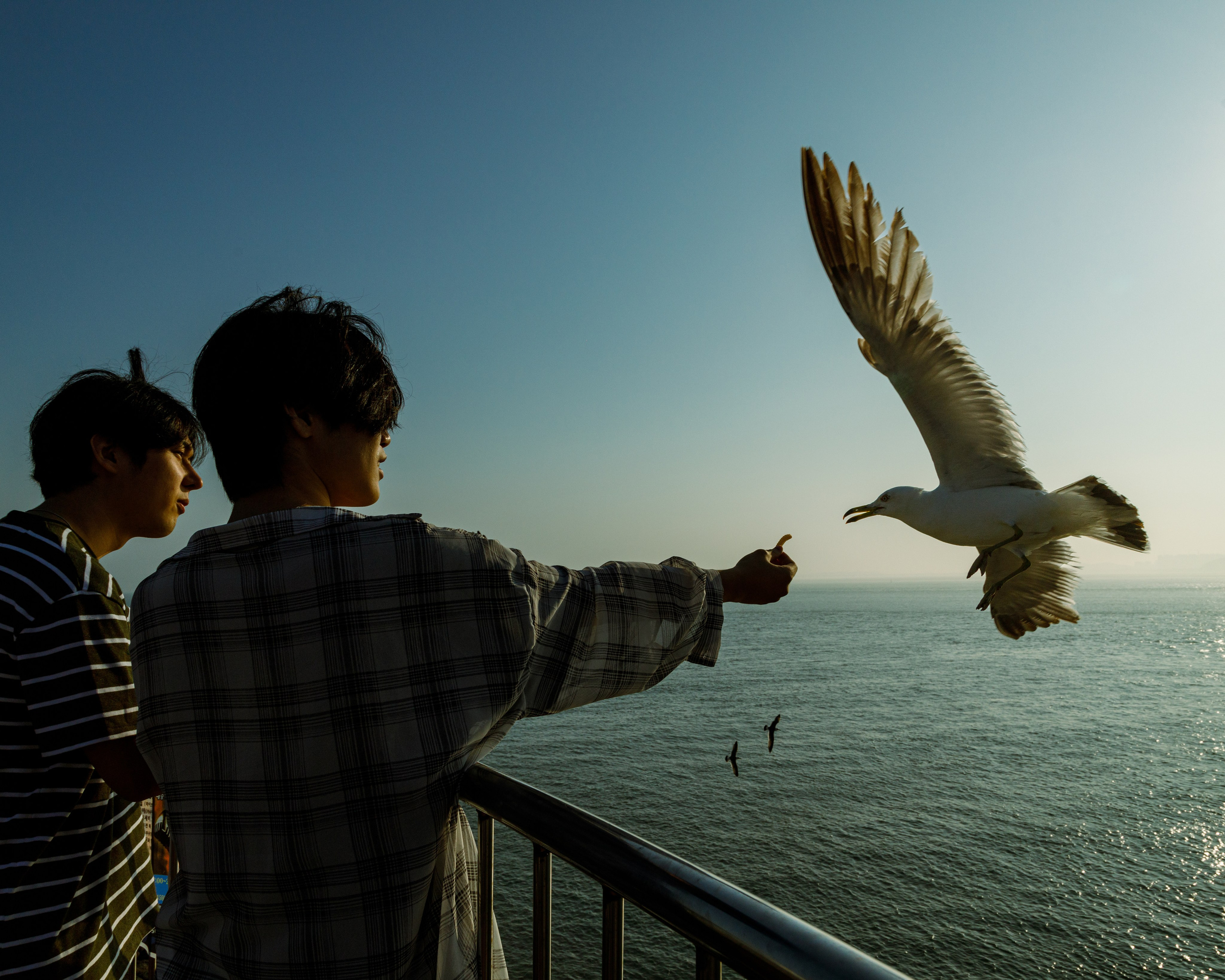 Южная Корея. Фотограф Павел Подшивалов