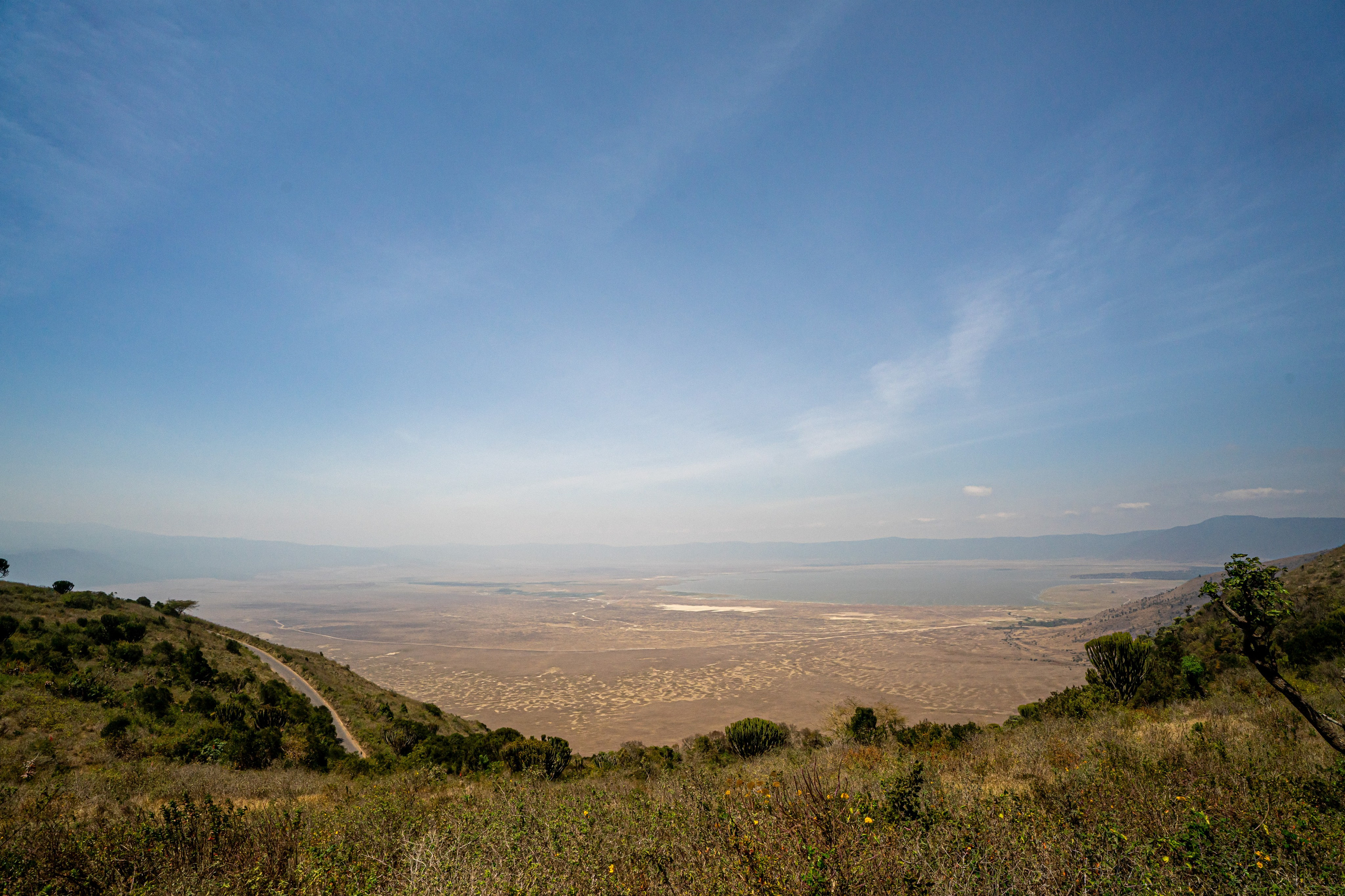 Танзания, сафари, 2025. Творческие сьемки
