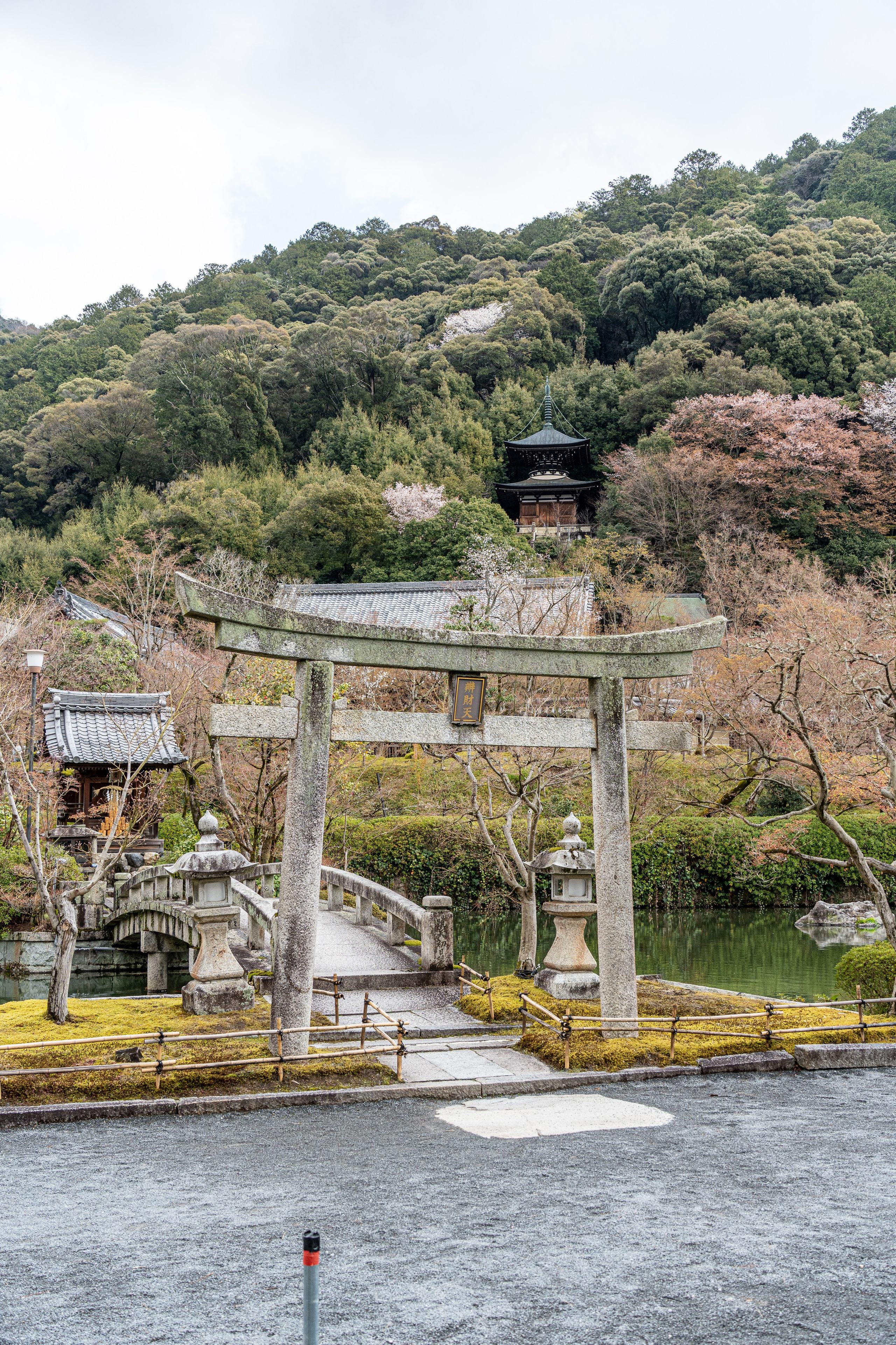 Япония, сакура. Творческие сьемки