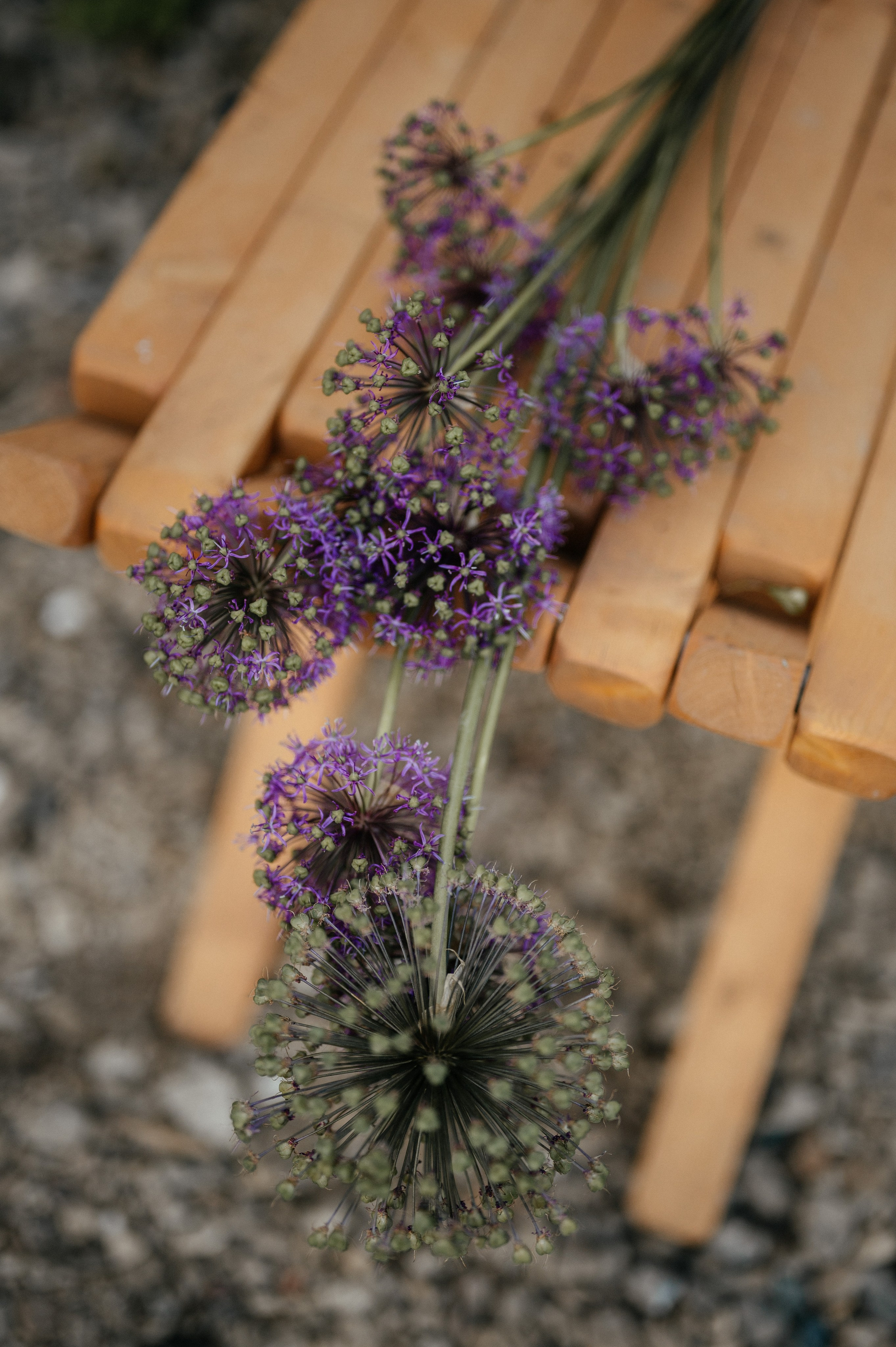 Настя&Эдуард. Свадебный фотограф в Донецке — Вита Донец