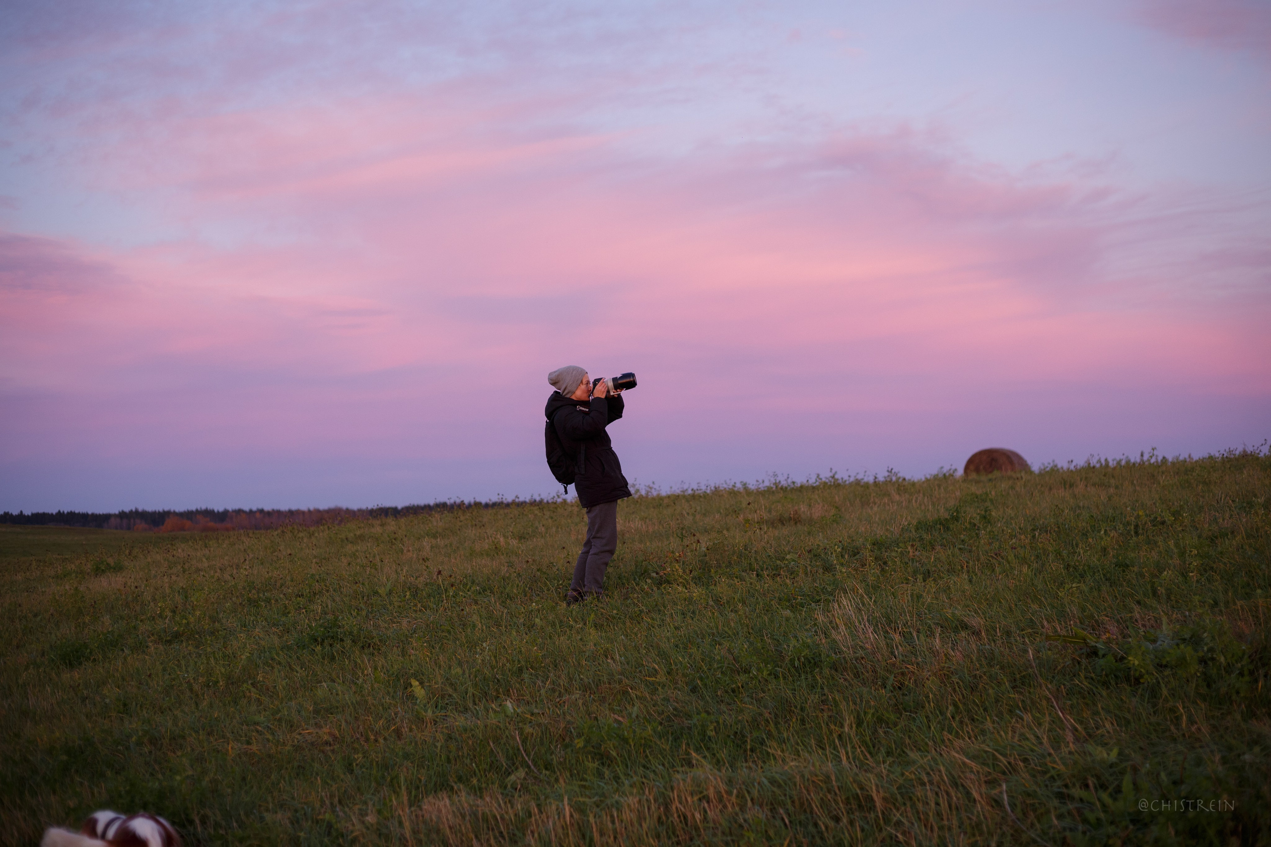 Октябрьский закат в полях. Алина и Лео. Фотограф-анималист Наталия Чистюхина в г. Сосновый Бор и ЛО