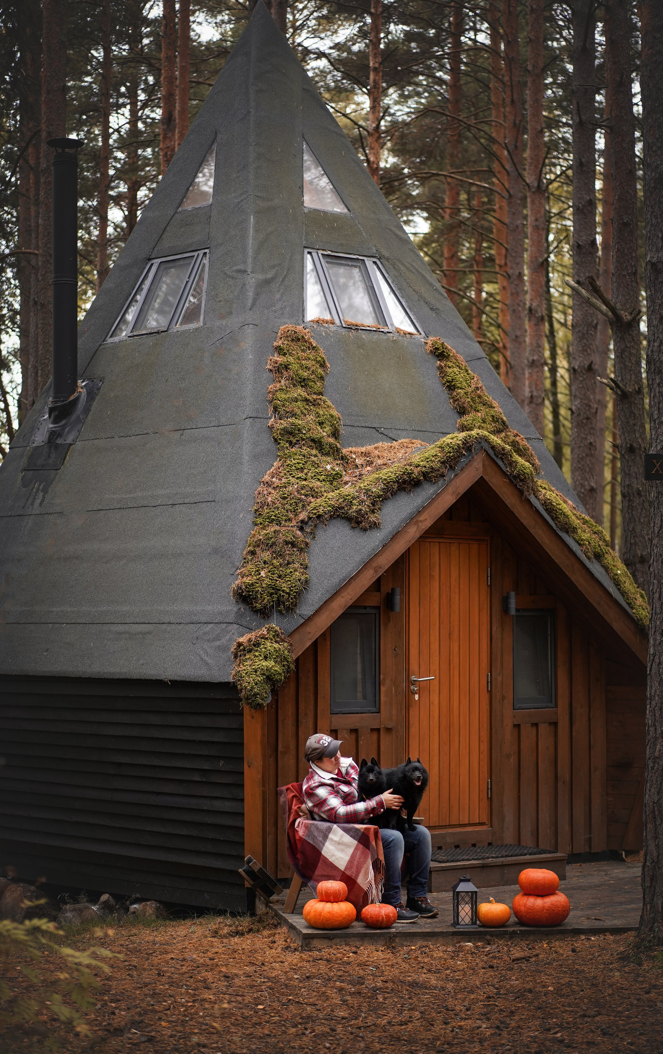 Аня Мишель Арчи и Майкл. Фотограф-анималист в Санкт-Петербурге Яна Мартынова