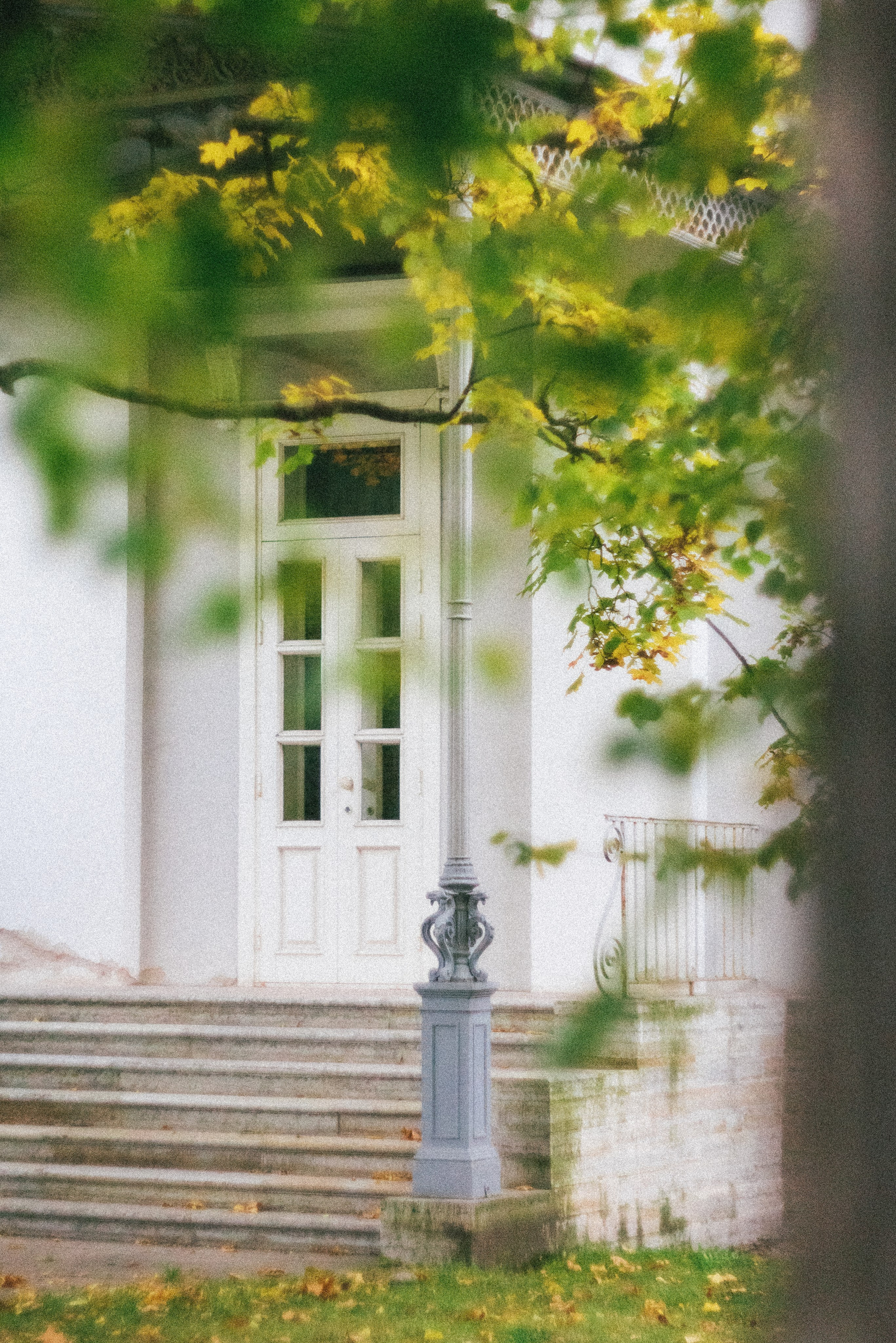 Autumn. Свадебный фотограф Санкт-Петербург DanyaPhotoart