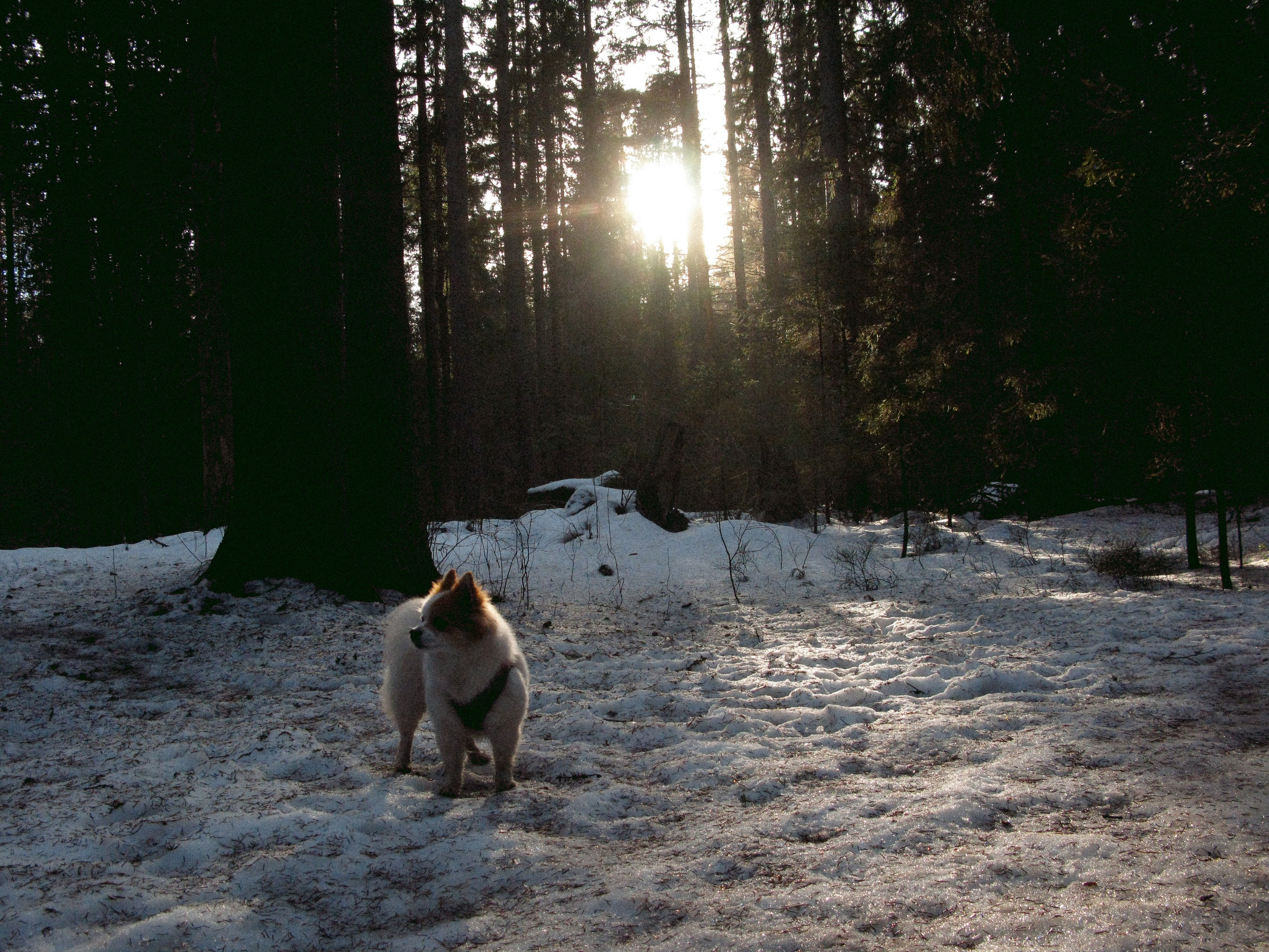 Mar. Фотограф Миланазавр