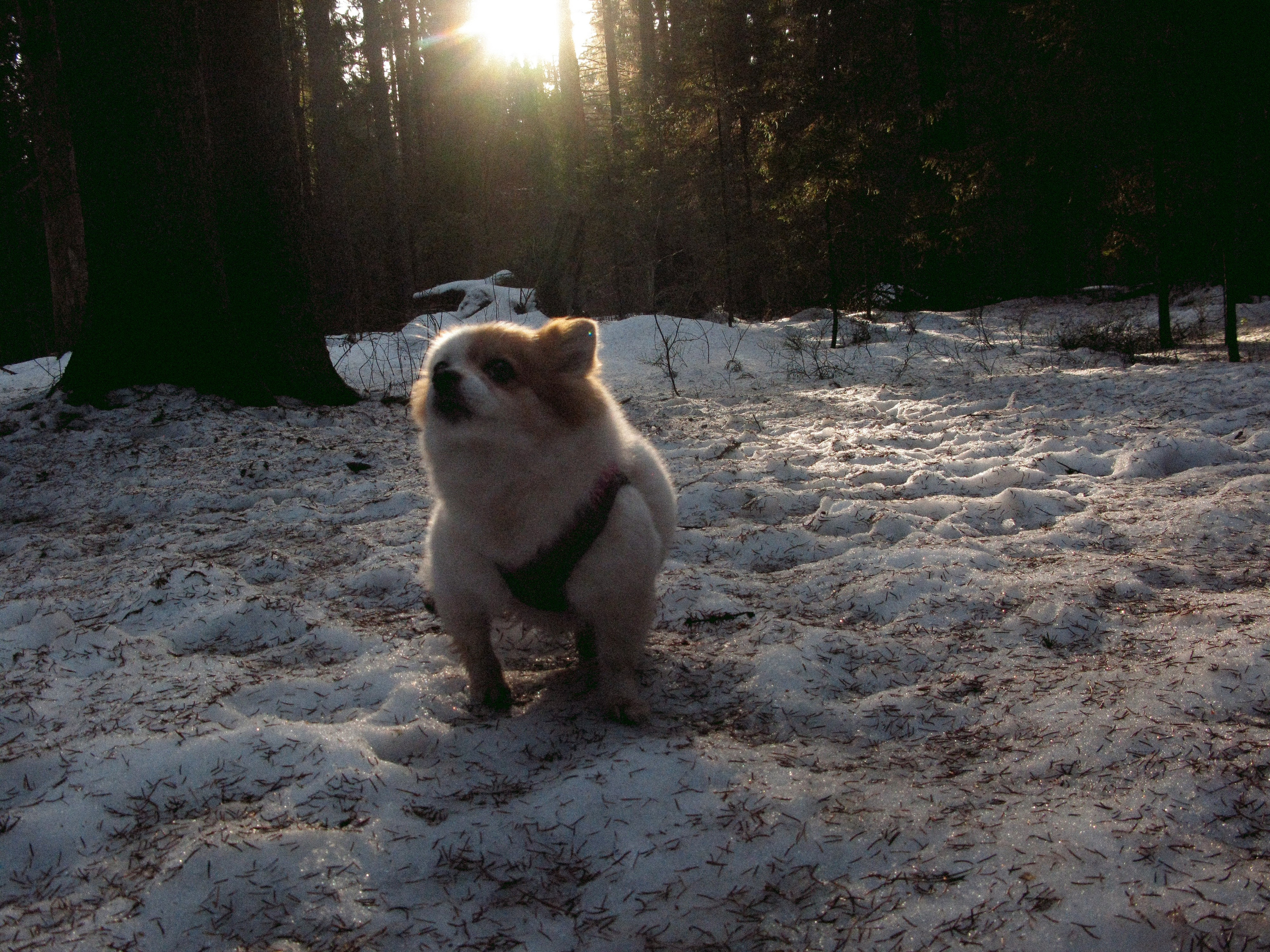 Mar. Фотограф Миланазавр
