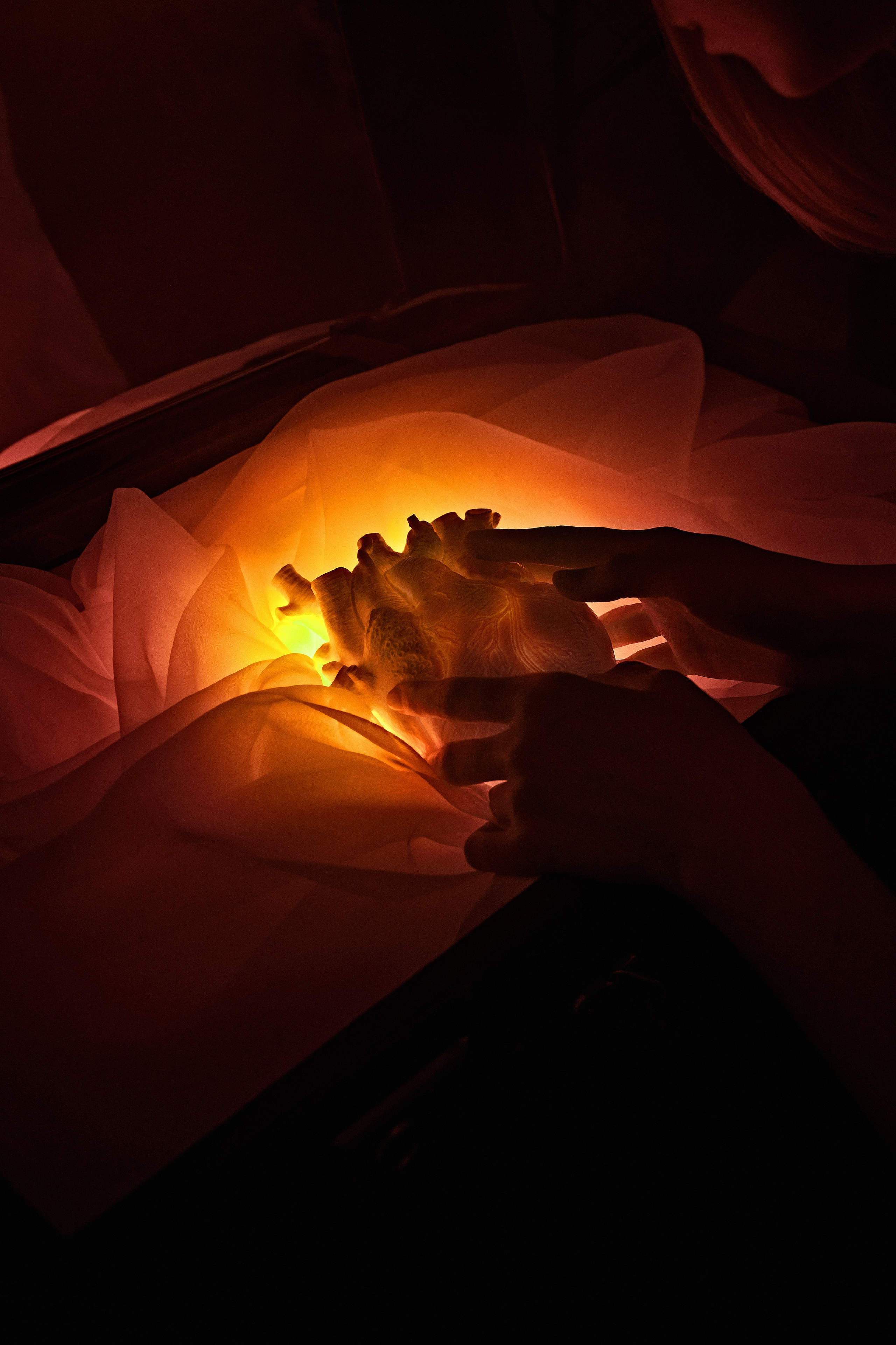 Heart. Фотограф Полина Колонтаева | Новосибирск | Pollinoir