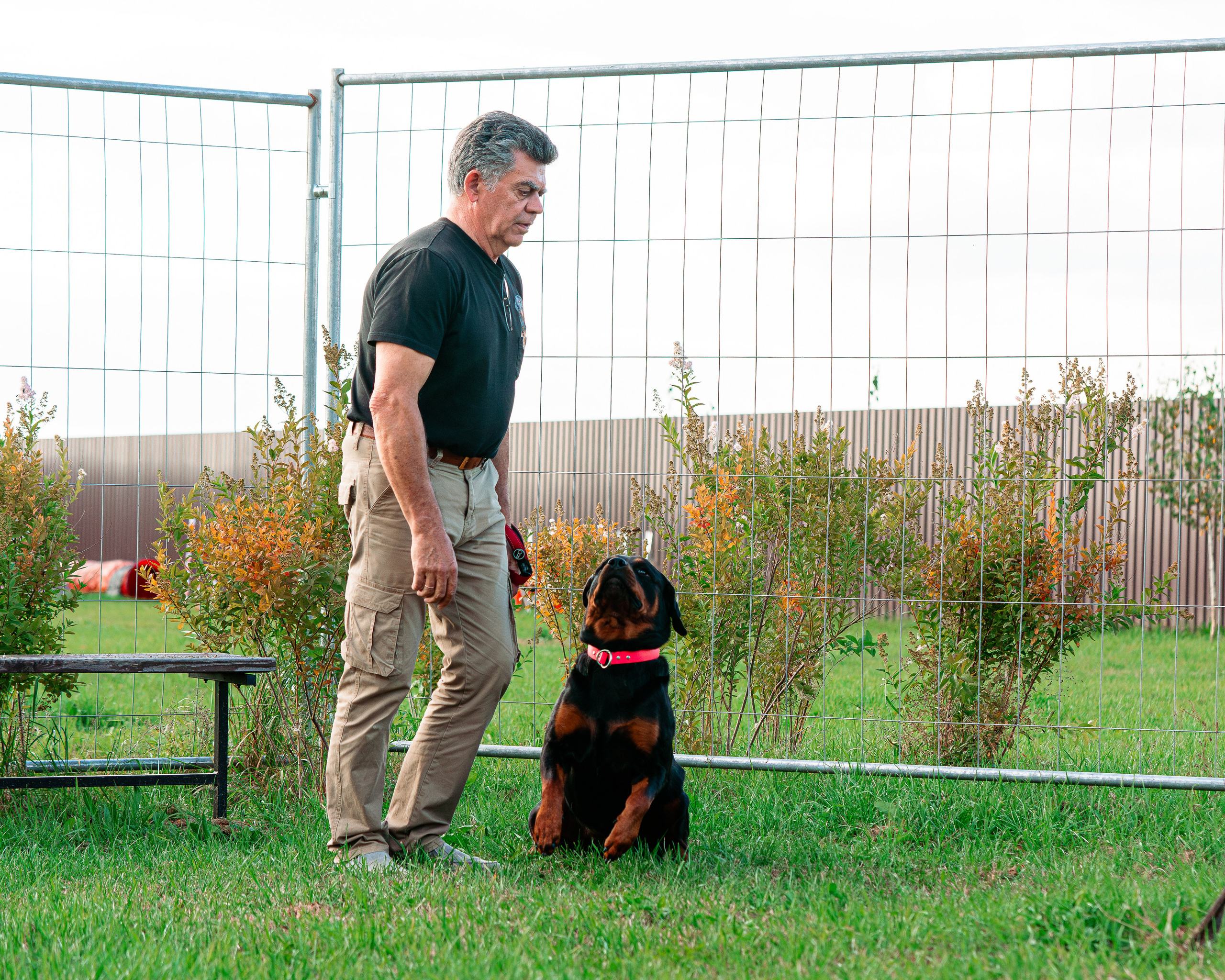 Ваш путь к ПОБЕДЕ (ТРЕНИРОВКИ). Фотограф-анималист, семейный фотограф в Москве и Подмосковье. Фотосъёмка кинологических дисциплин