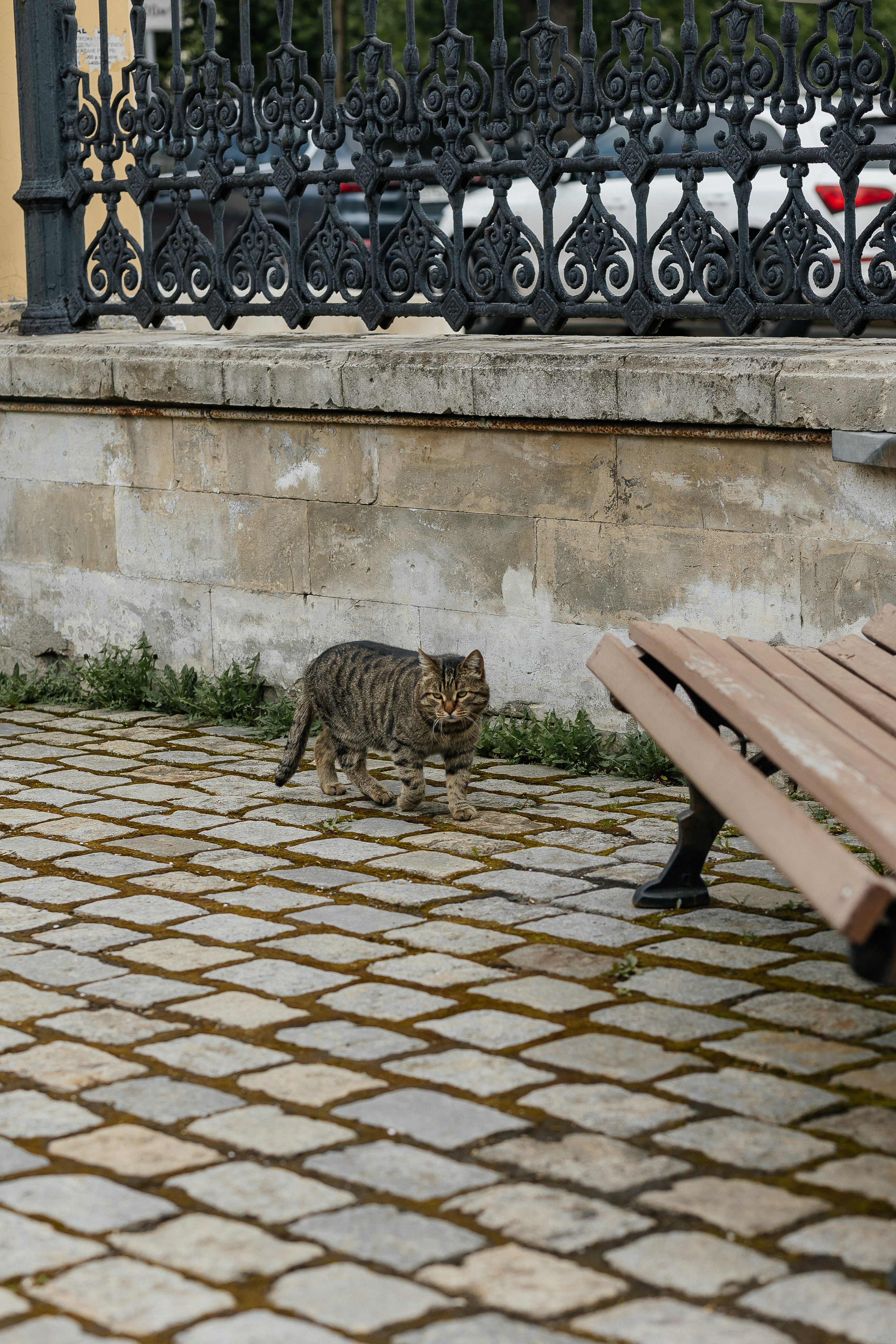 Загс Грибоедовский и Читальня Пушкина. Фотограф Москва, Балашиха, МО. Свадьбы, репортажи, контент, портреты