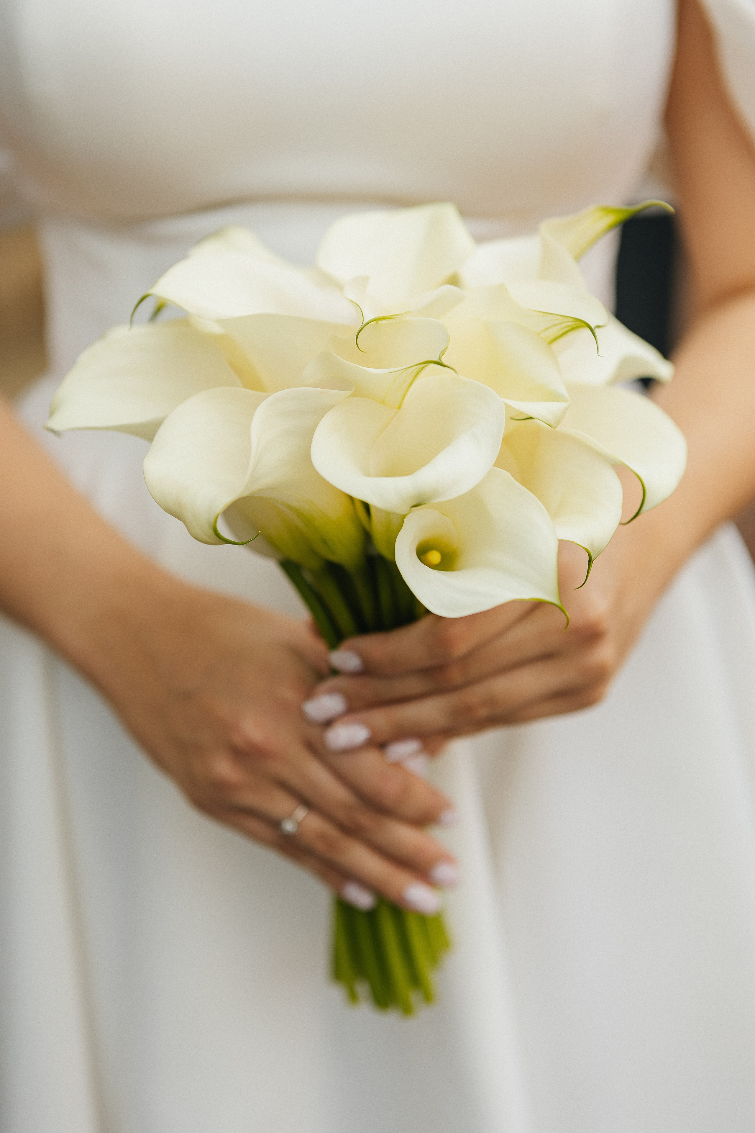 Регистрация и прогулка в Барвихе. Фотограф Москва, Балашиха, МО. Свадьбы, репортажи, контент, портреты