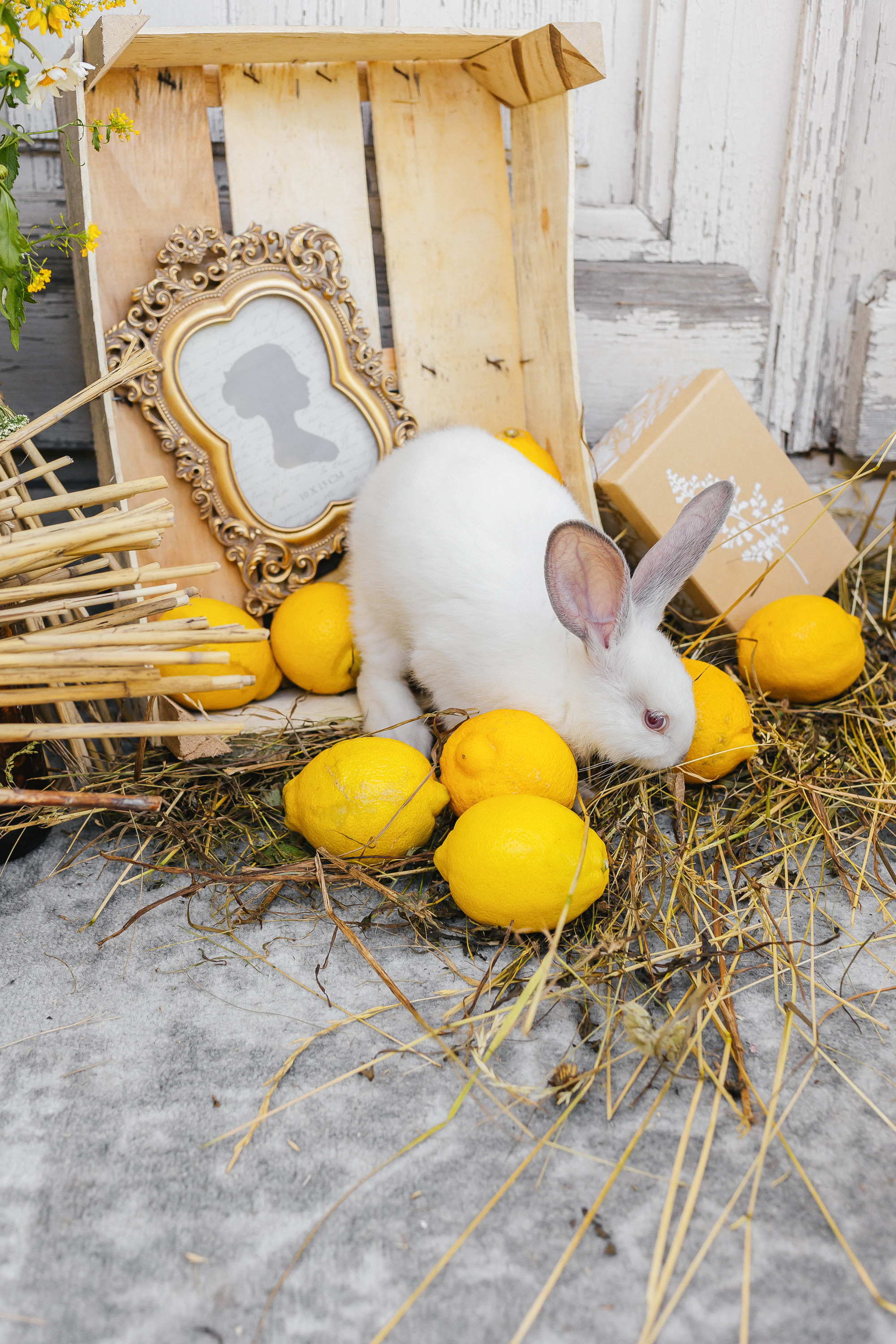Девичник в усадьбе Голицыных в Москве. Фотограф Москва, Балашиха, МО. Свадьбы, репортажи, контент, портреты
