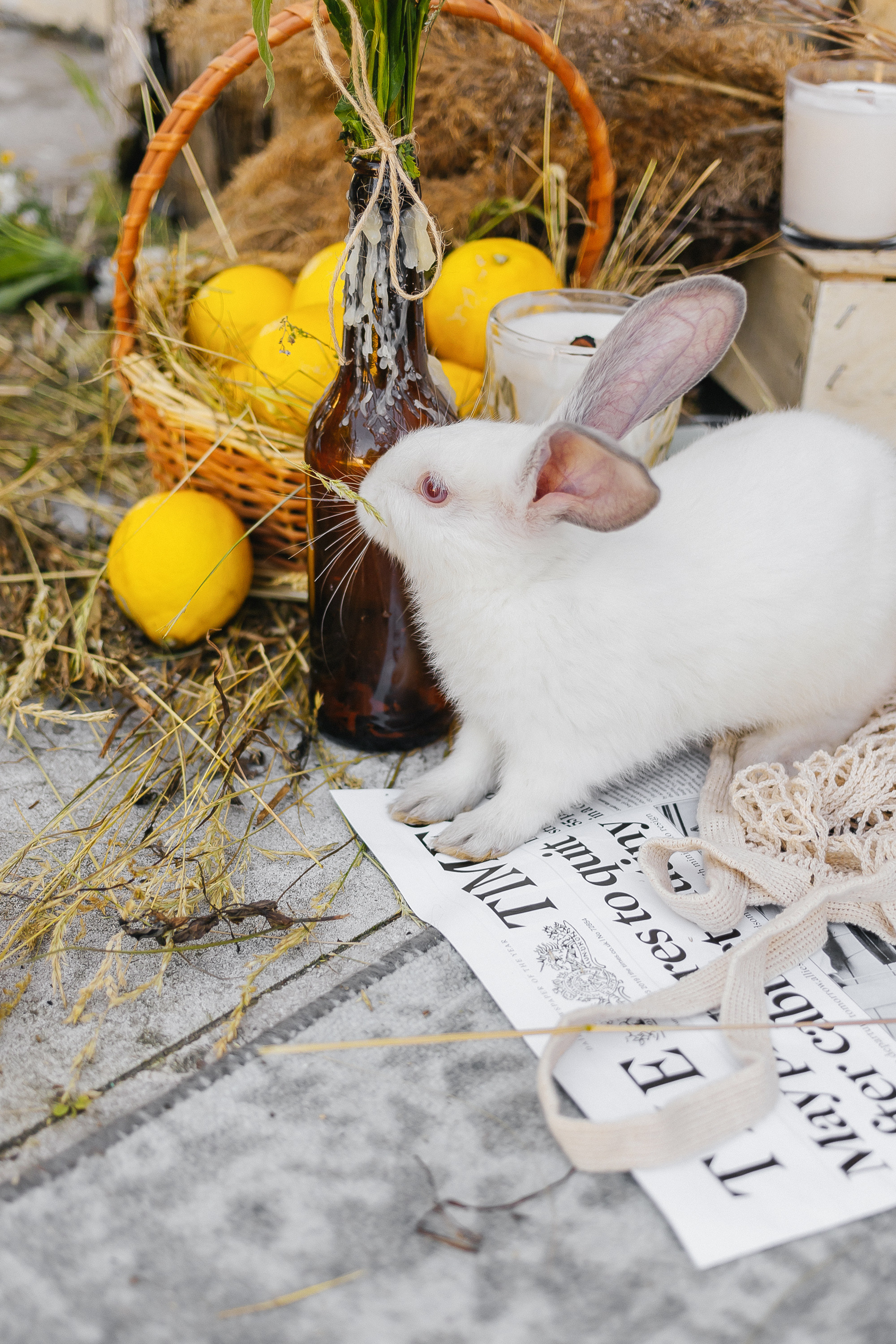 Девичник в усадьбе Голицыных в Москве. Фотограф Москва, Балашиха, МО. Свадьбы, репортажи, контент, портреты