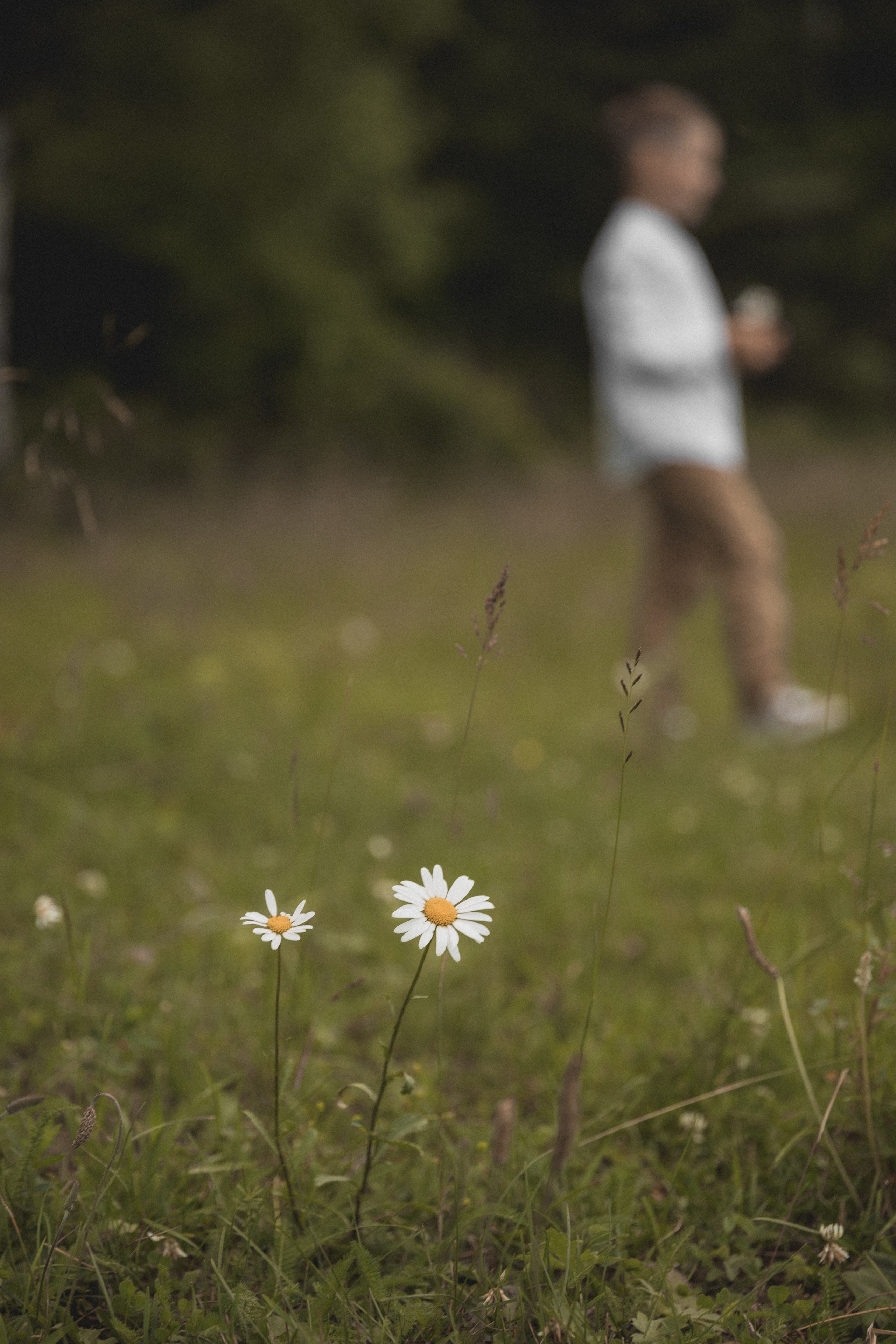 Место силы. Семейный и свадебный фотограф Лилия Матонина | Ангарск, Иркутск, Усолье-Сибирское, Байкал (Листвянка, Ольхон), Иркутская область