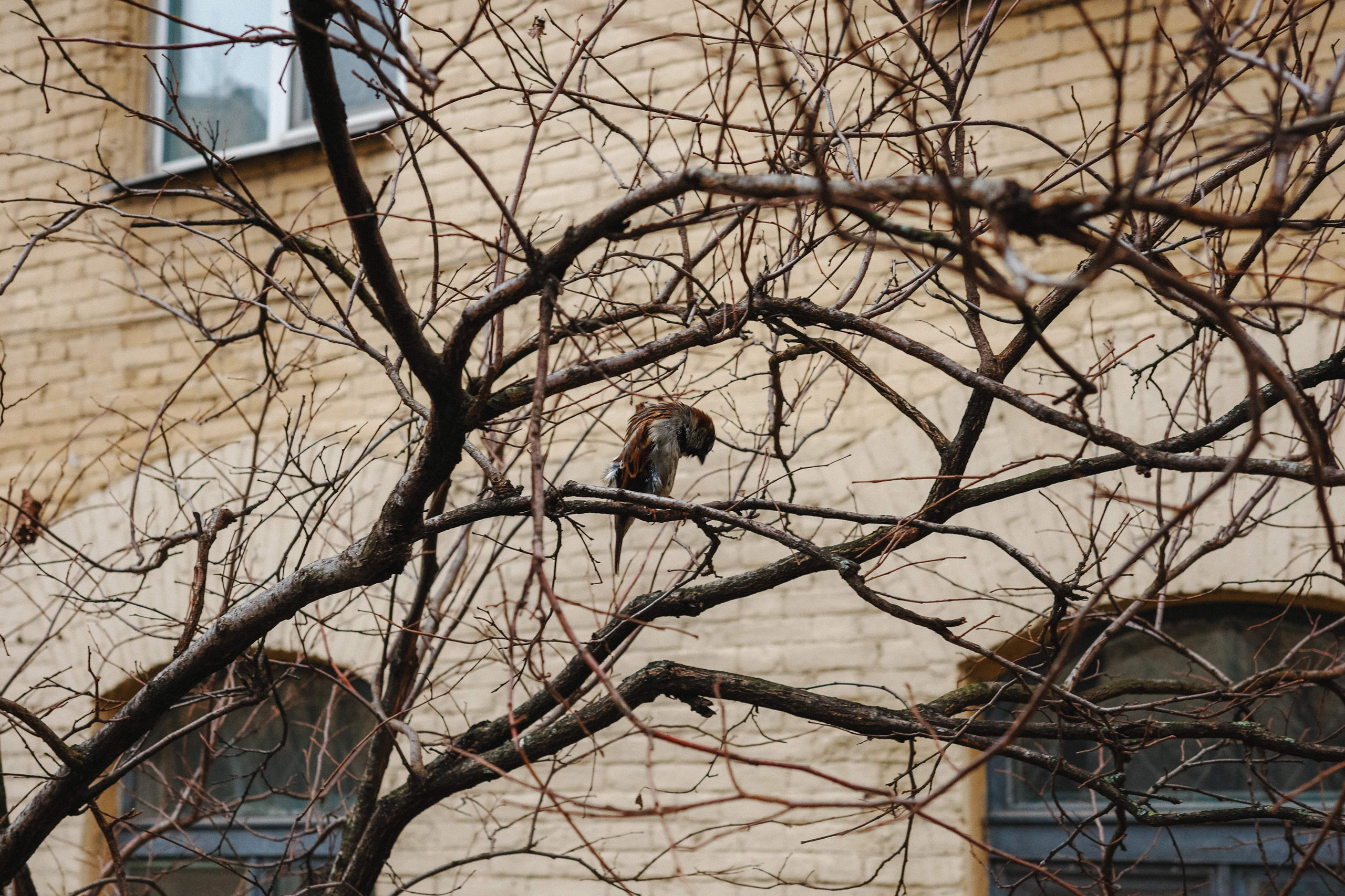 2024.03. Фотограф Алексей Алексеев