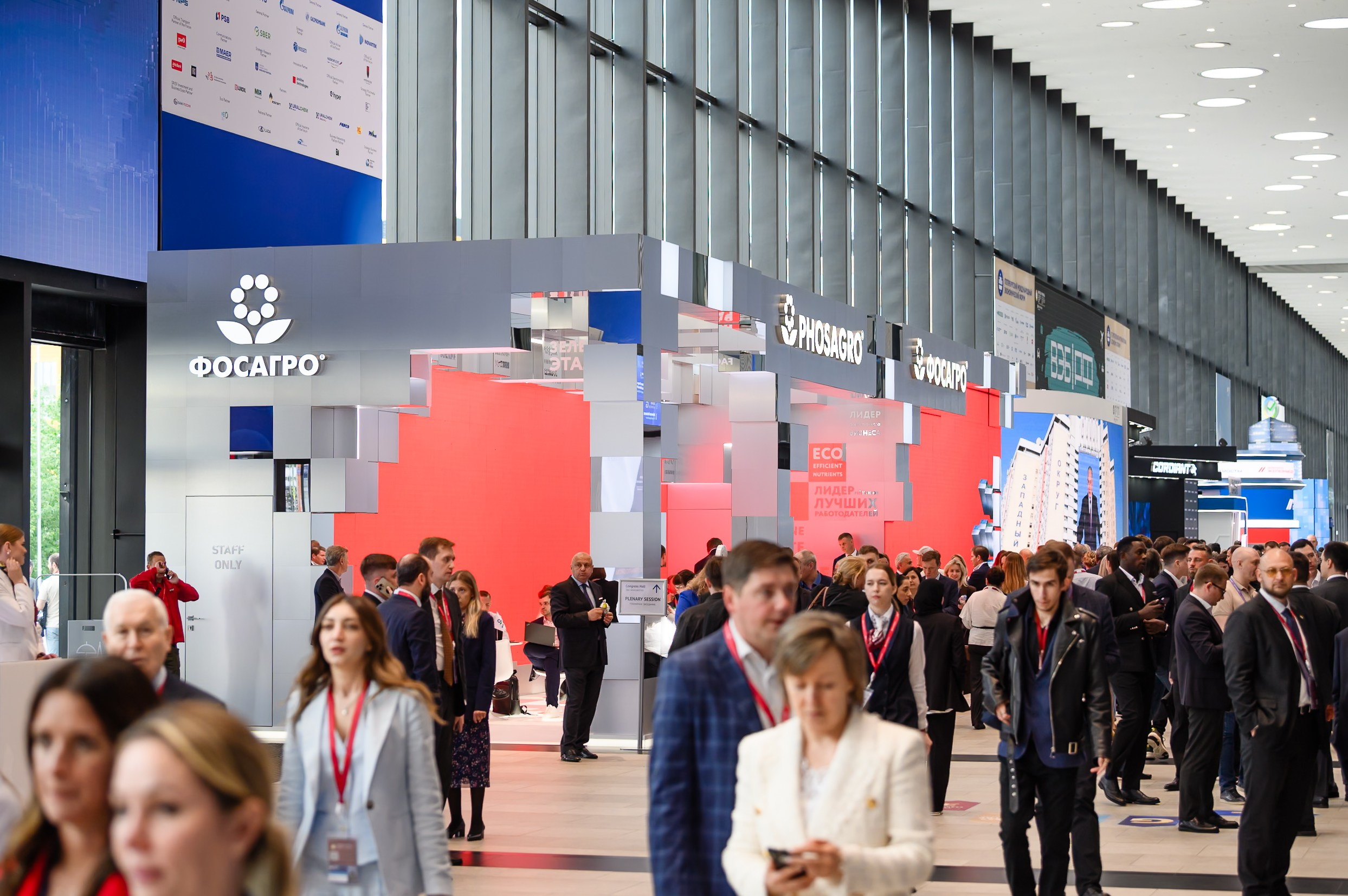 Проекты. Профессиональный фотограф Вячеслав Плацында | Липецк |