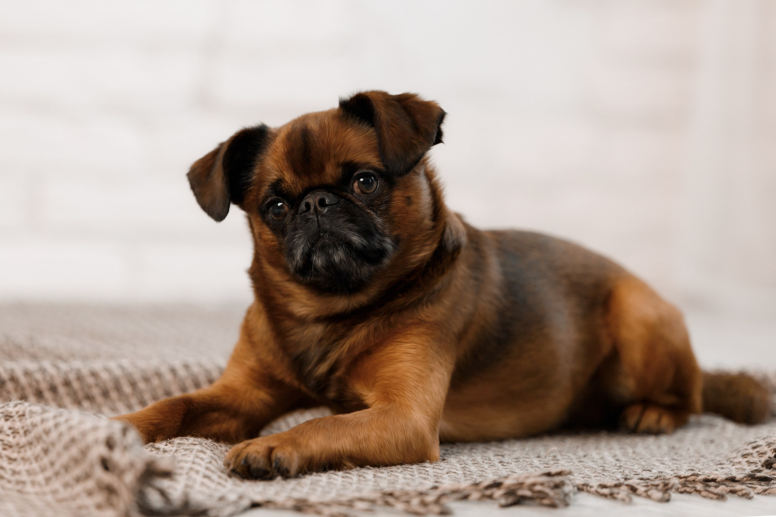 Мария и Арки. Фотограф-анималист в Калуге Мария Шерскова
