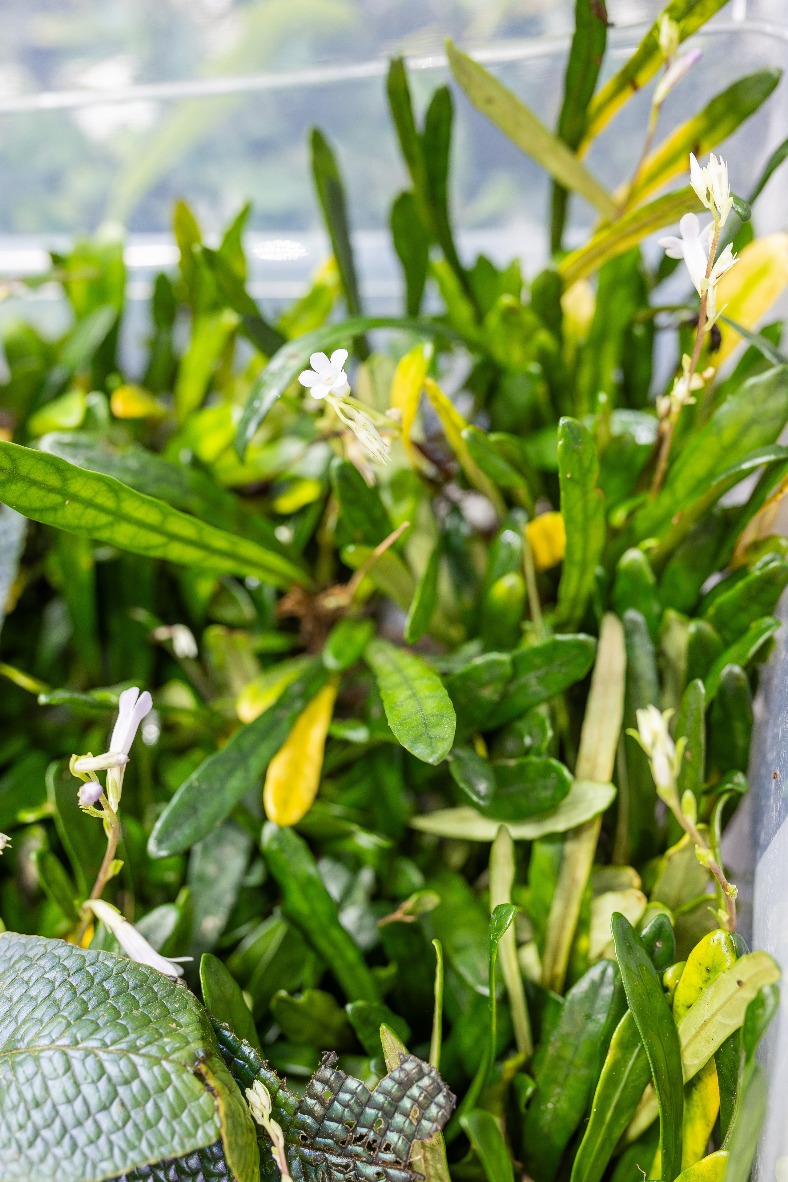 Монстериум апрель 2026. Александра Куликова фотограф, Москва