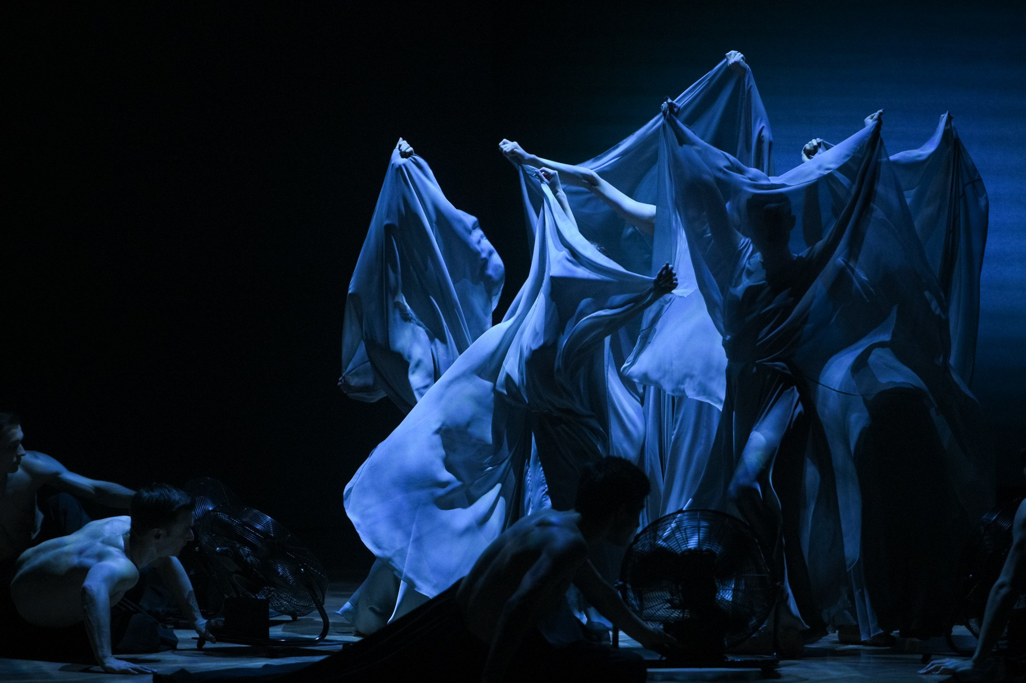 Балет Москва: Транскрипция цвета. Елена Дружинина. Спортивный и репортажный фотограф