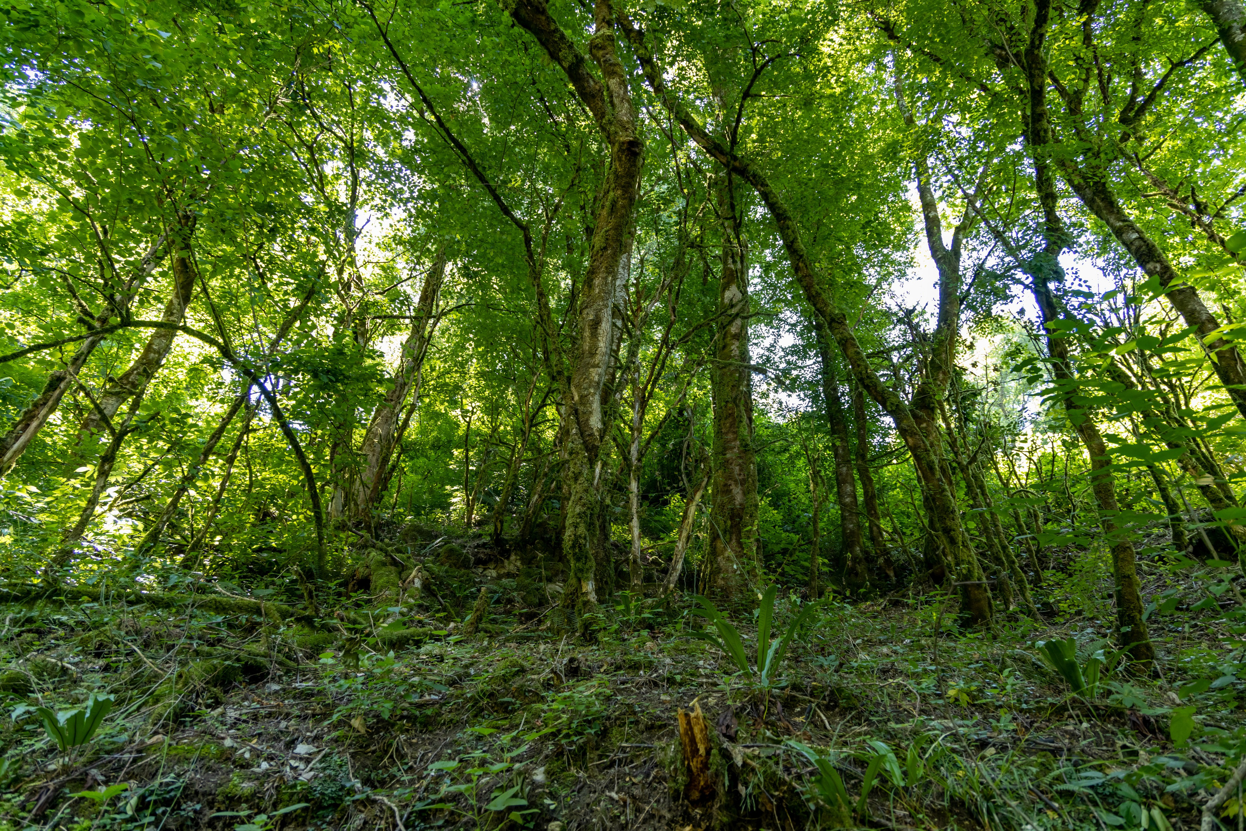 Сочи. Солох Аул. Репортажный, семейный и студийный фотограф в Москве Демин Алексей