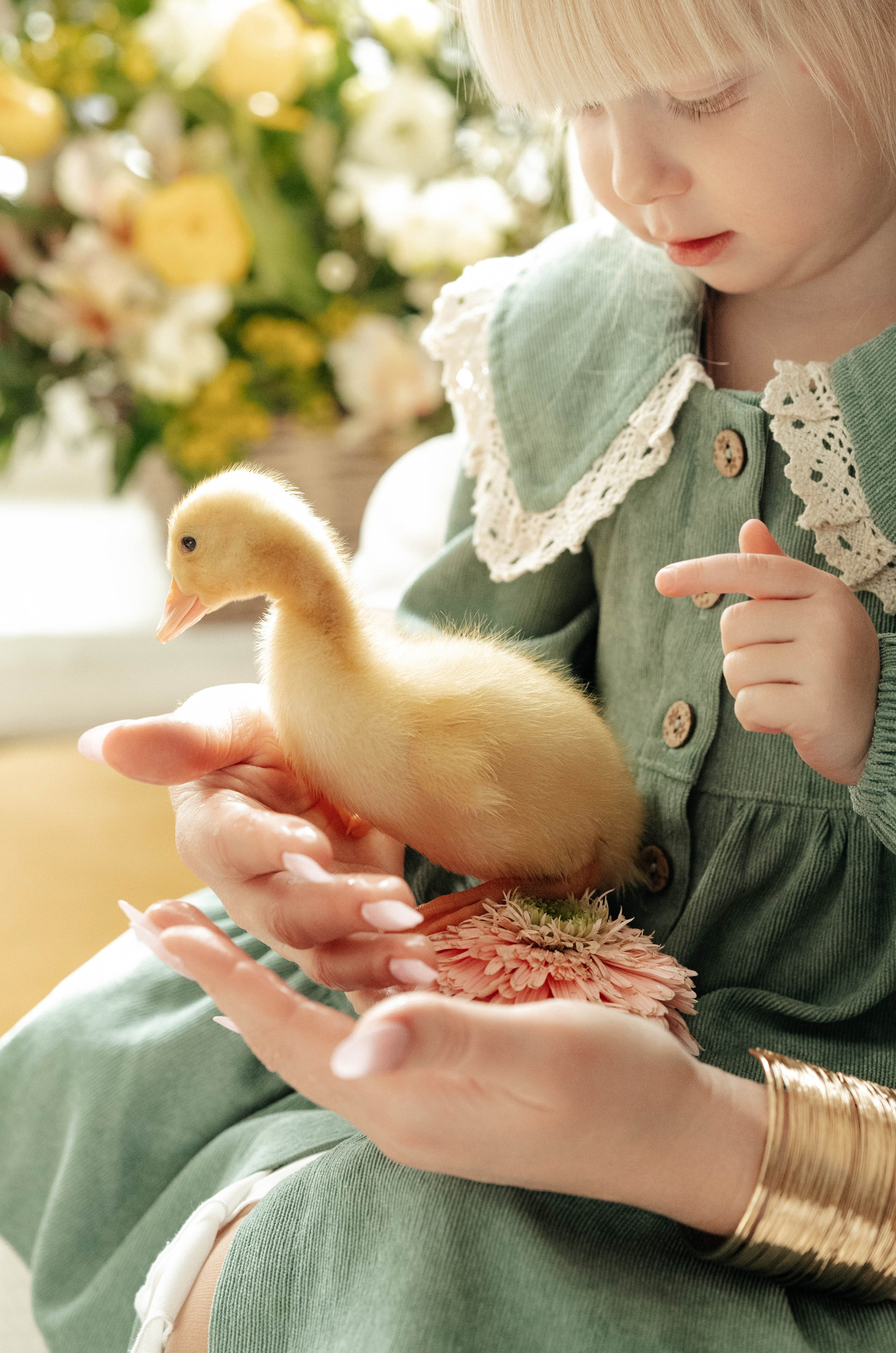 Утята). Свадебный фотограф Москва Александра Аверкова