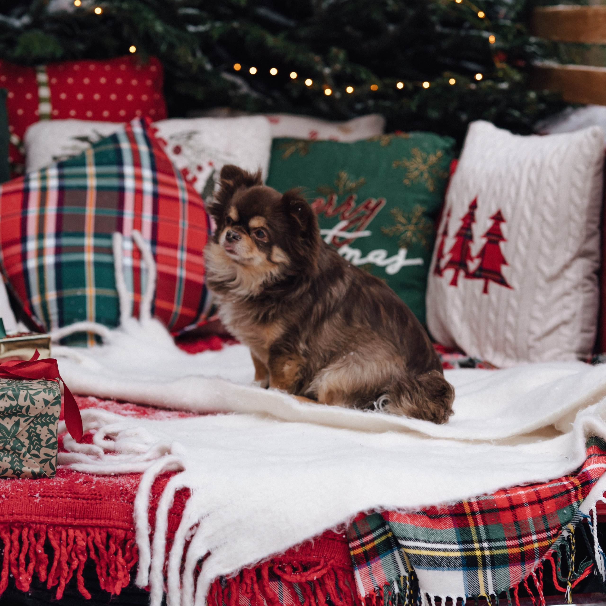 New Year. Red Car. Творческий фотограф взрослых и детей в Москве Анна Блифернец