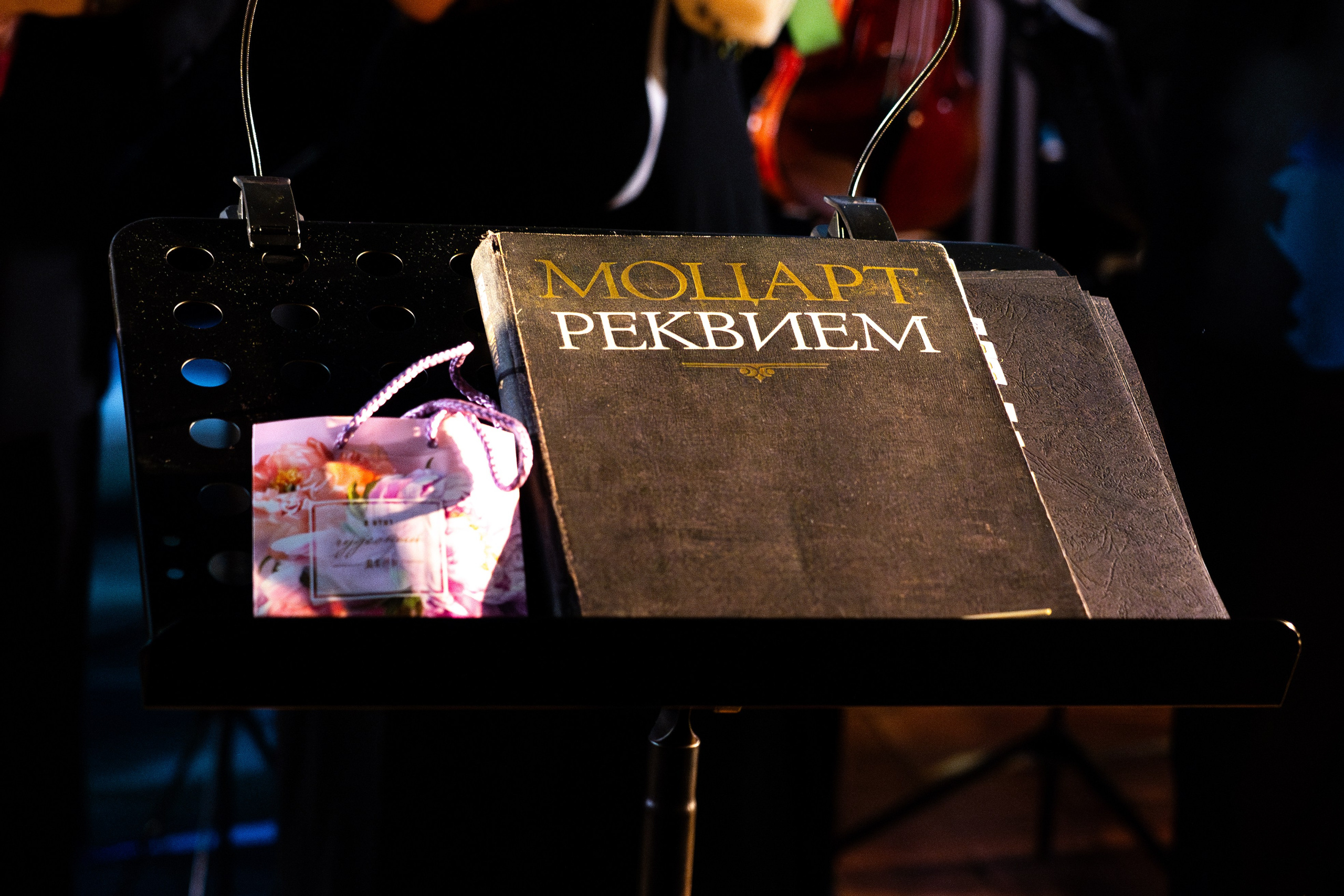 Horosapiens Choir. Легкая фотография