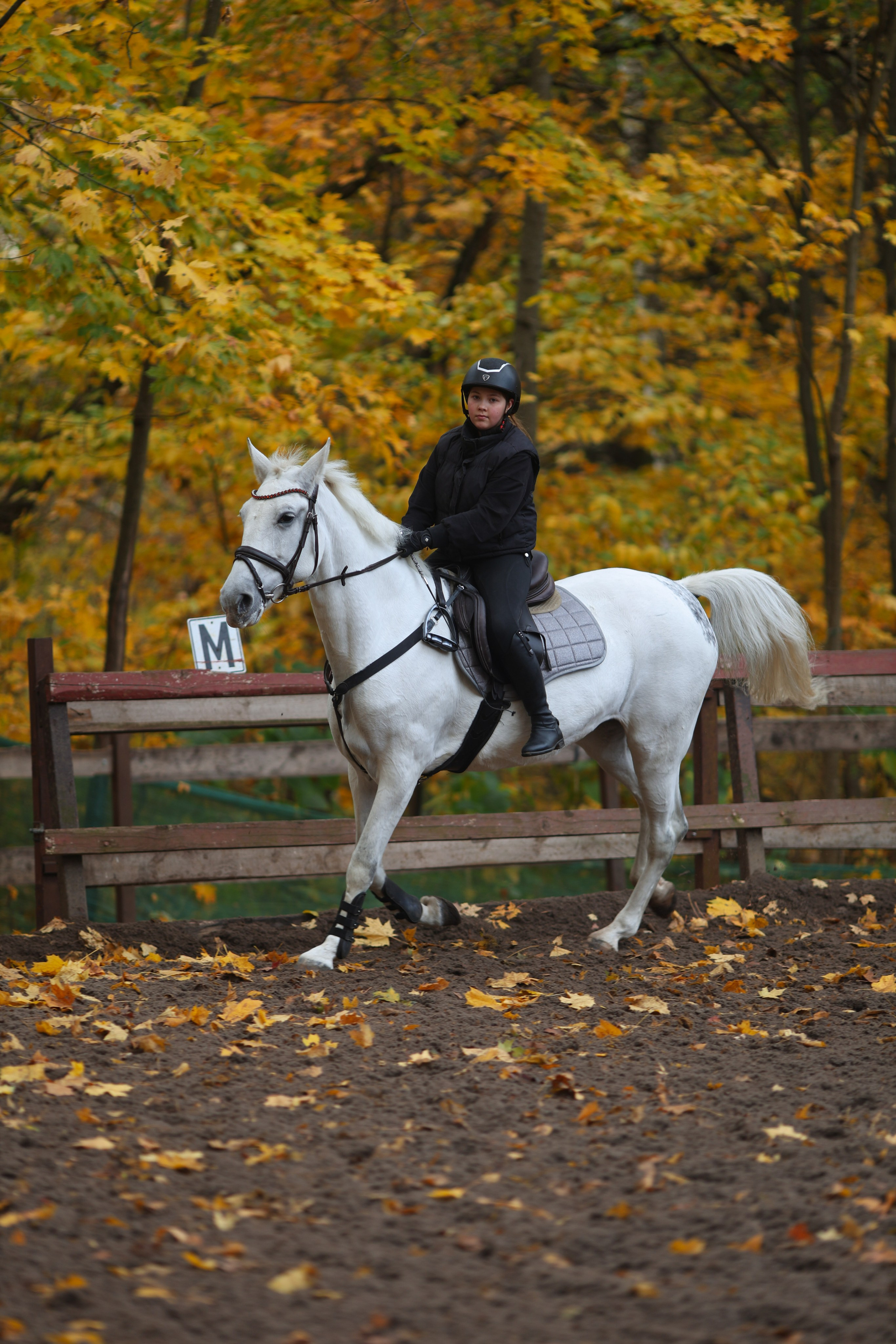 Фотосессия с животными. Фотограф Алина Рошаль. С 2017 года ловлю эмоции и превращаю их в нежные воспоминания для вас в Москве и Подмосковье