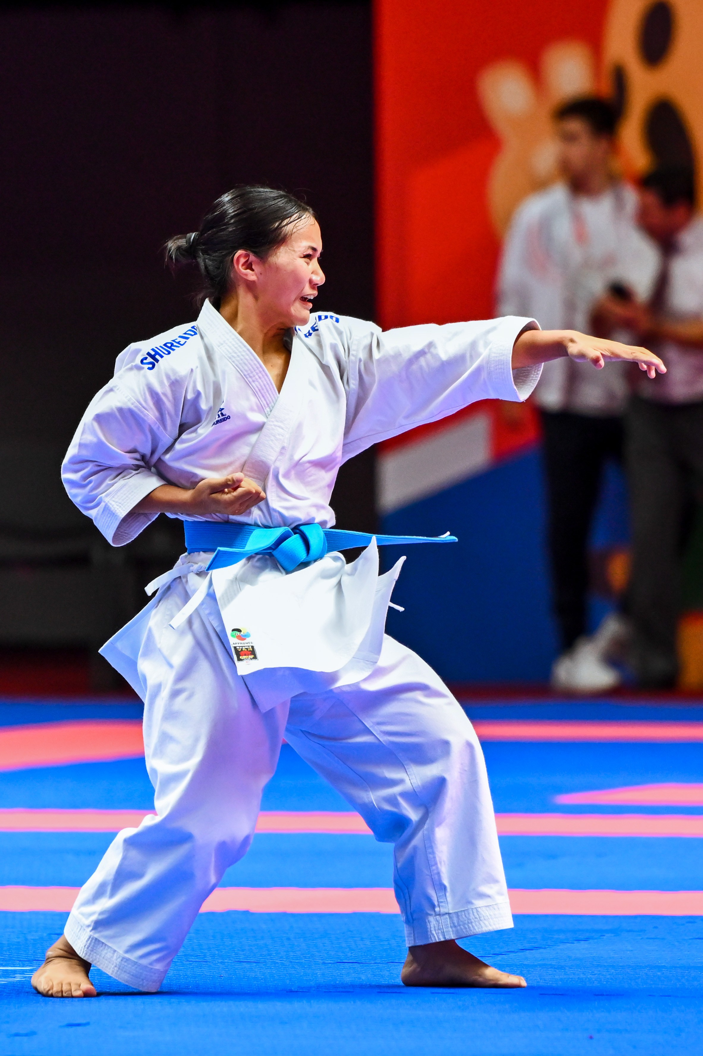 Каратэ «Спортивные игры стран БРИКС». Спортивный и репортажный фотограф в Казани Вячеслав Сатонин