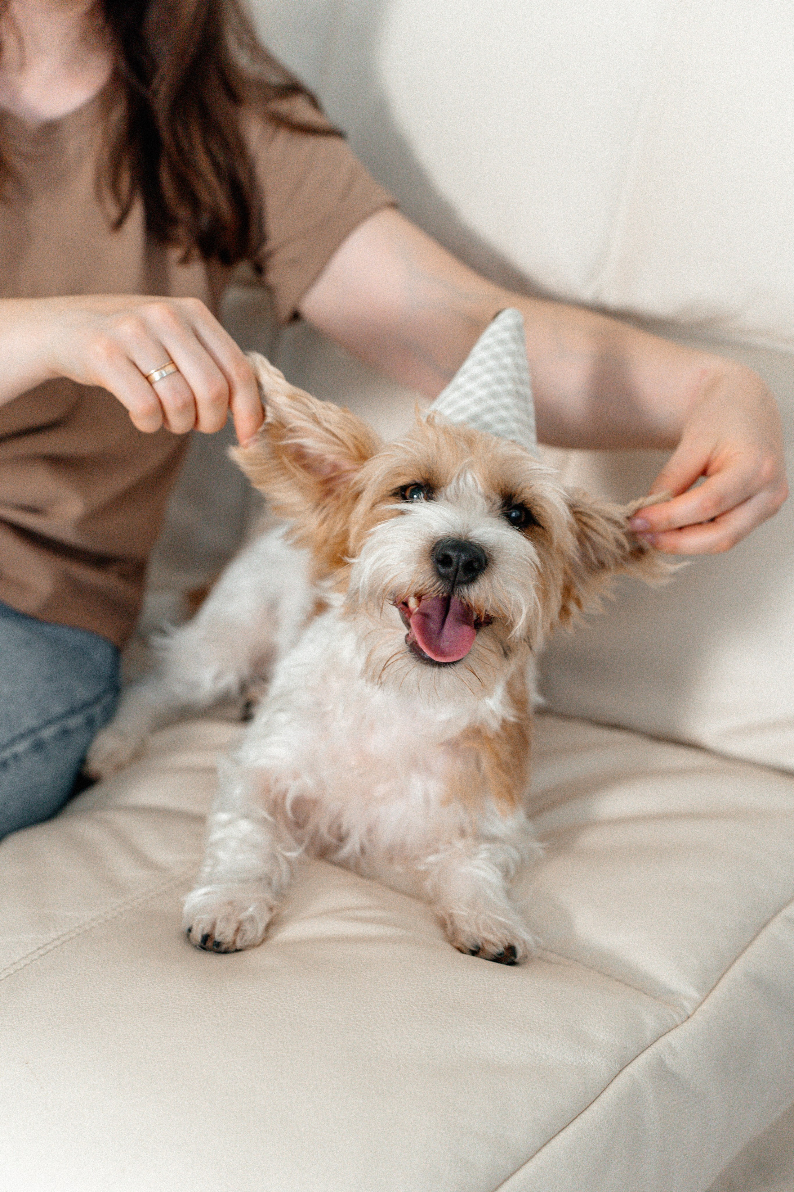Красота хвостатых глазами хозяйки. Ваш семейный фотограф в Минске — Вика Трегубова