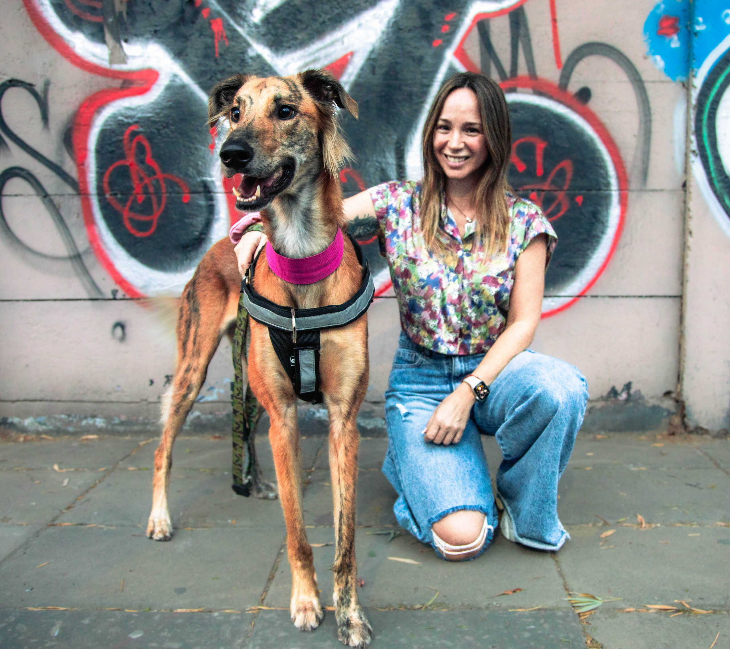 Animals. Photography by E. Kotova