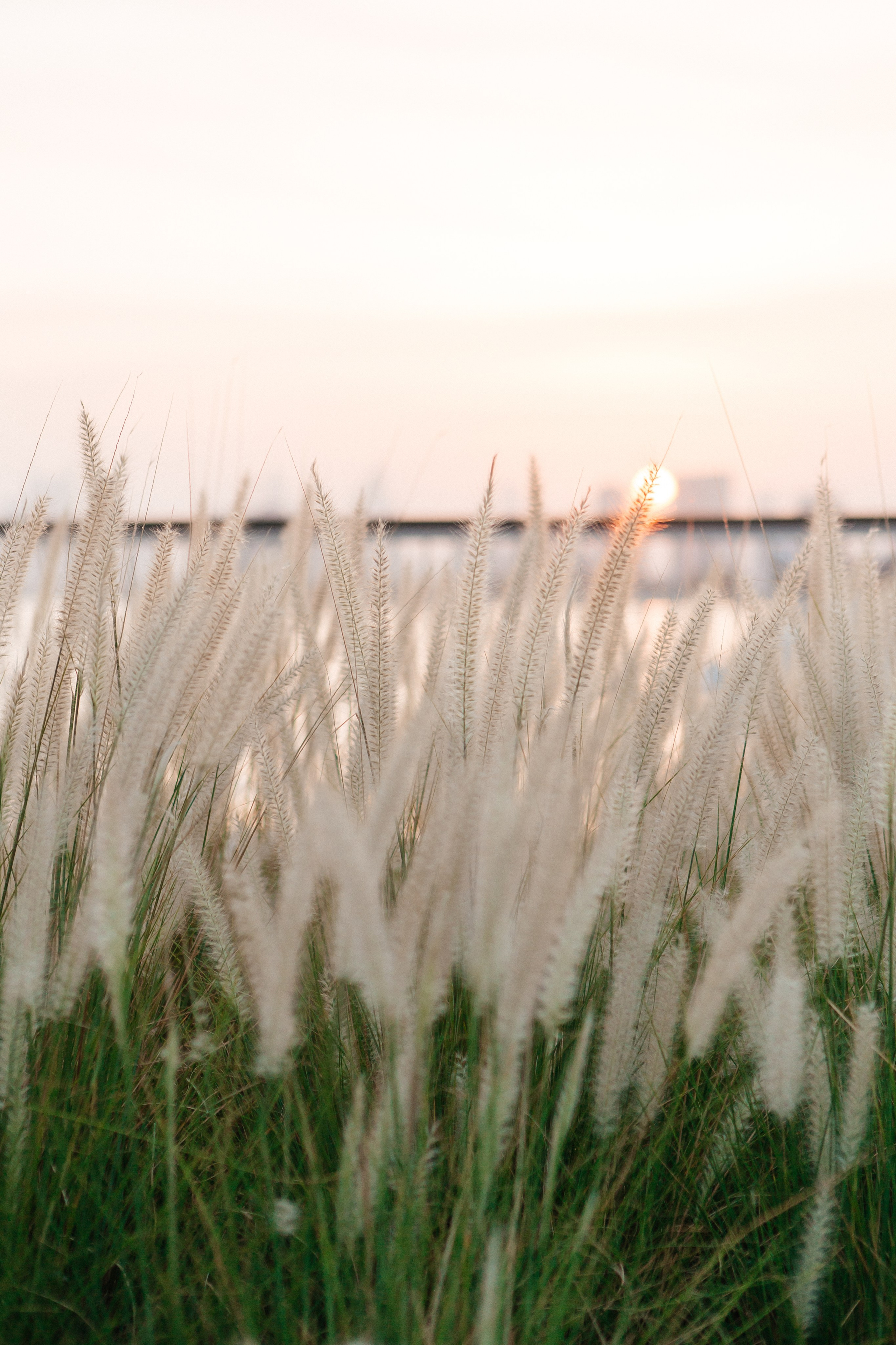 Creek walk. Valery Litvinova Photography