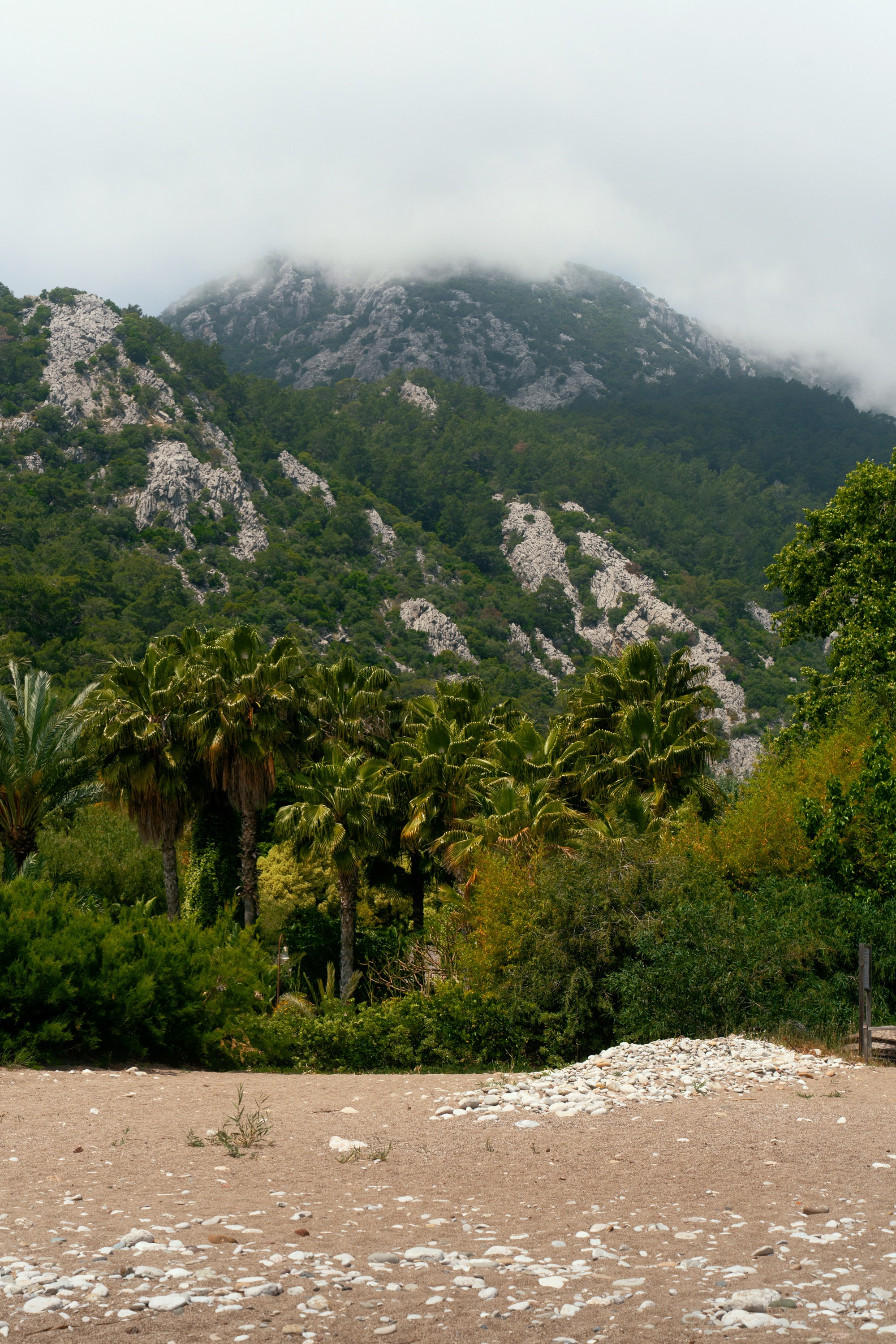 Турция, Греция, Иордания. Фотограф в Хабаровске. Фотография за 24 часа