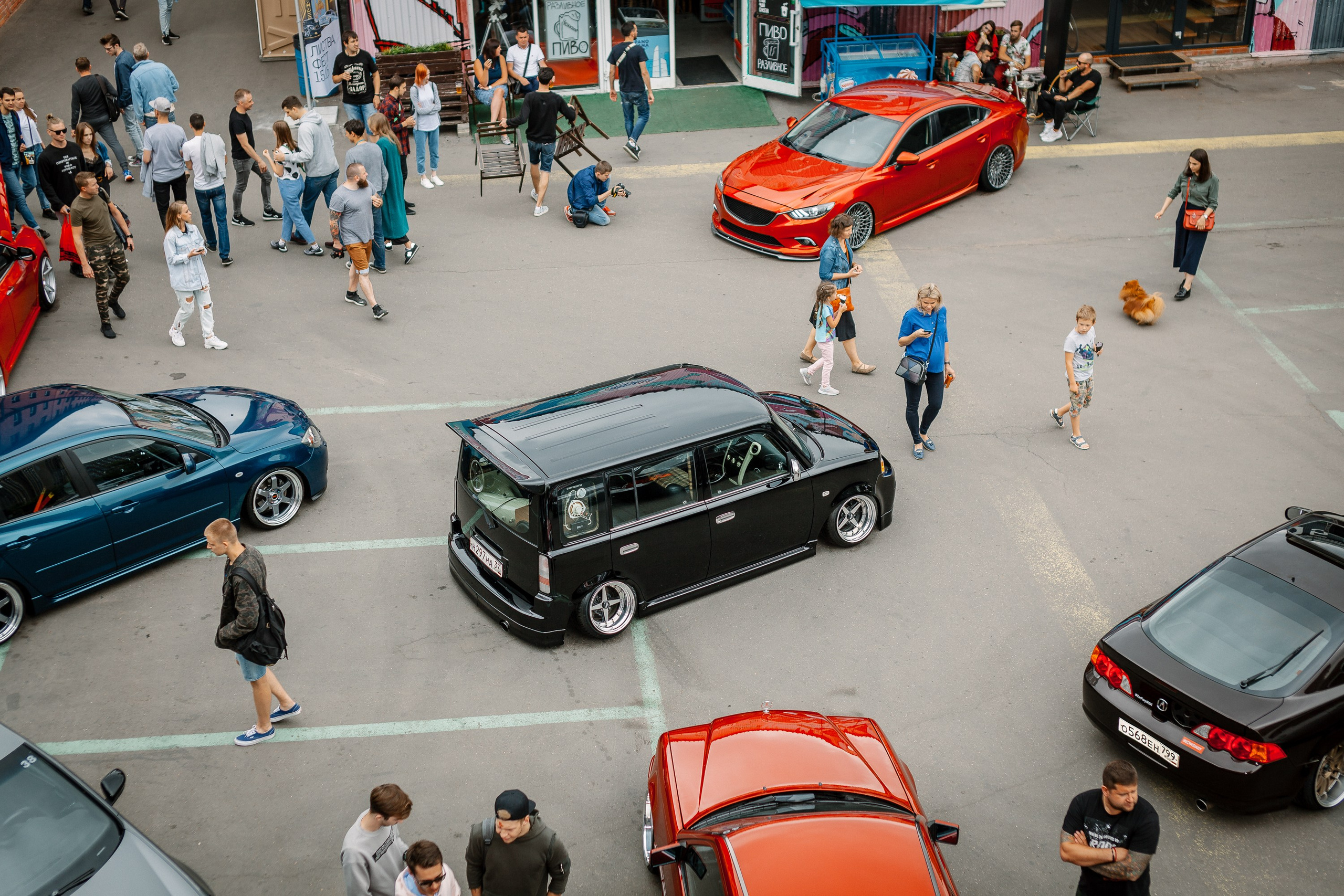 Листва. Алексей Никифоров фотограф Москва, Химки